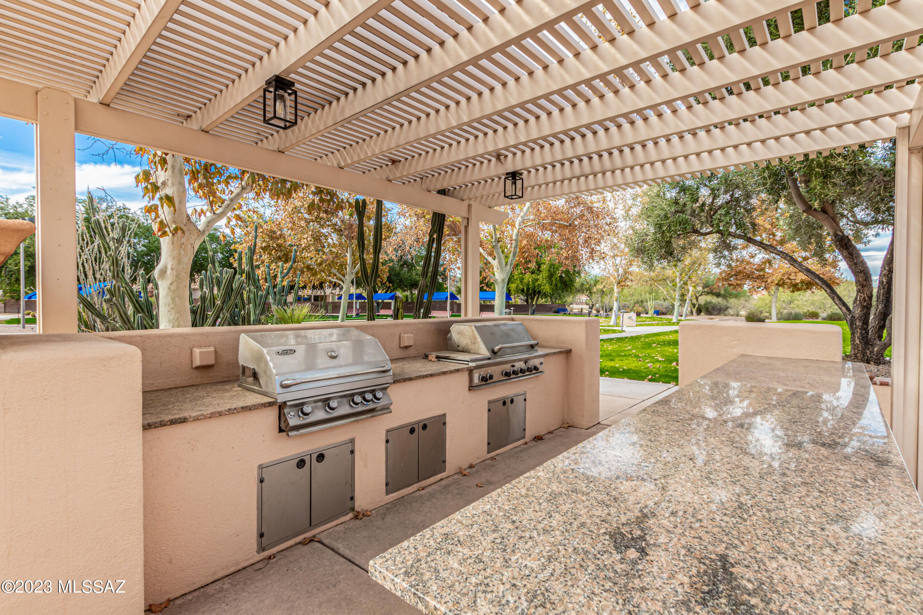 9253 N Twinkling Shadows Way