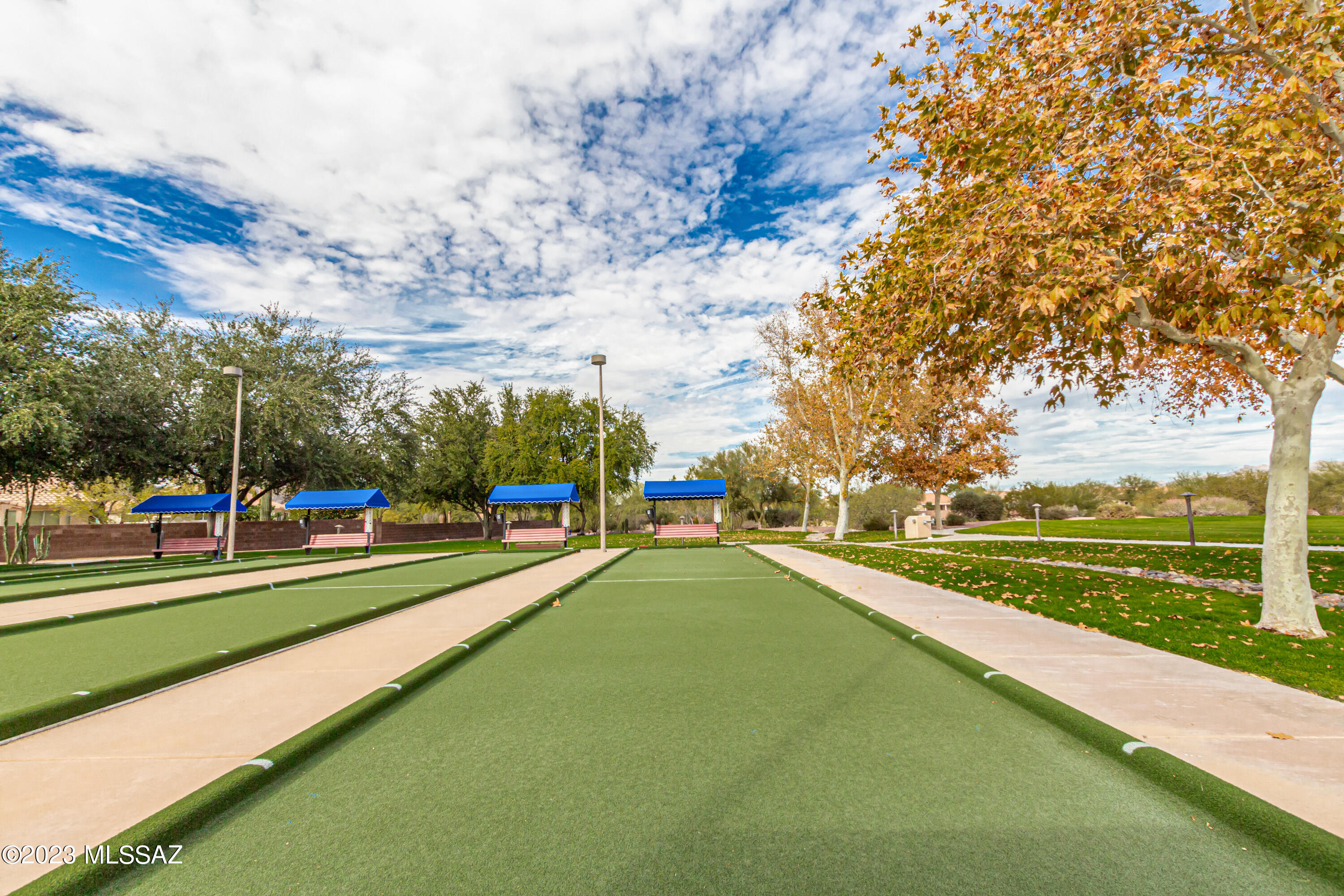 9253 N Twinkling Shadows Way