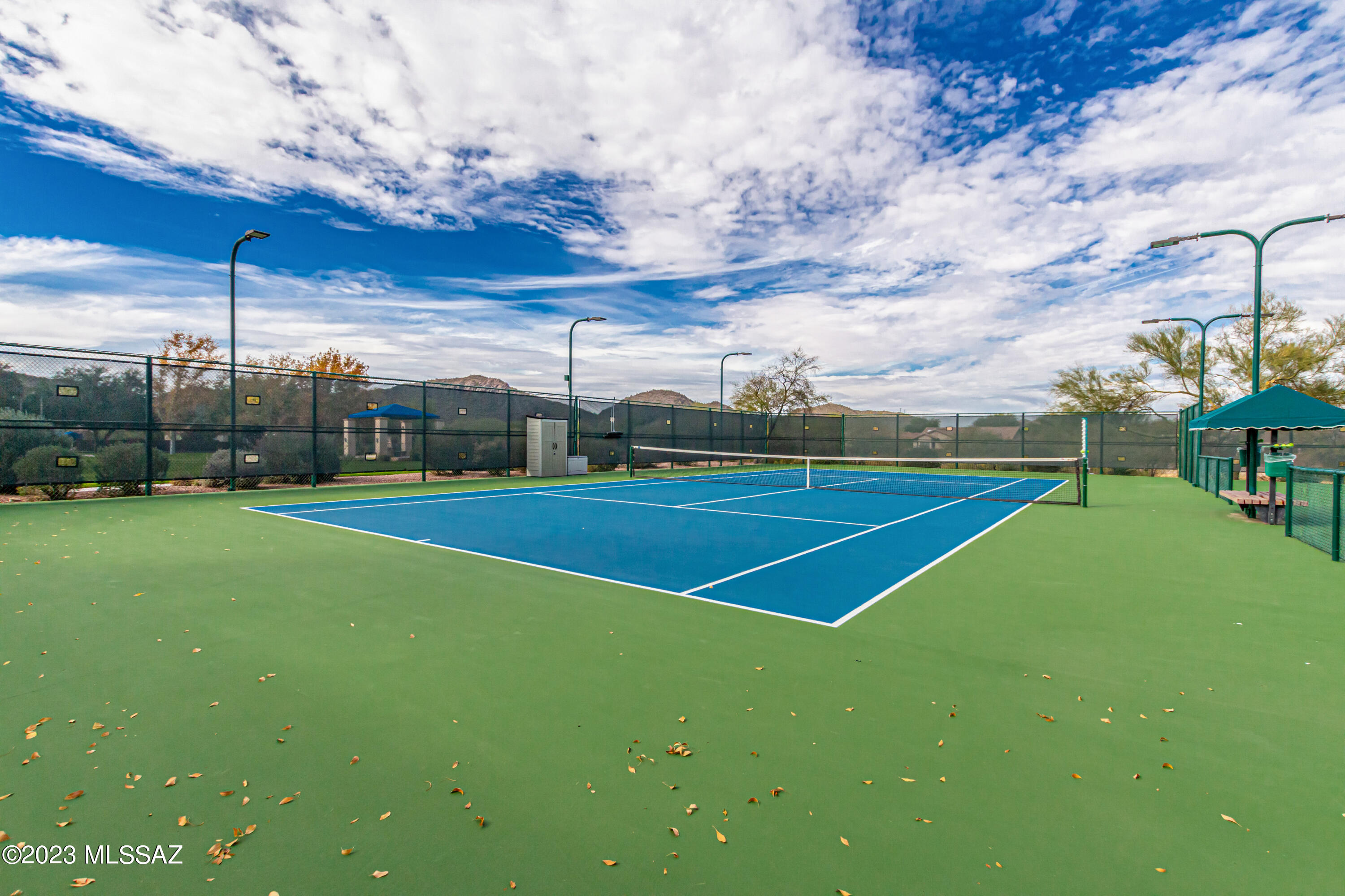 9253 N Twinkling Shadows Way