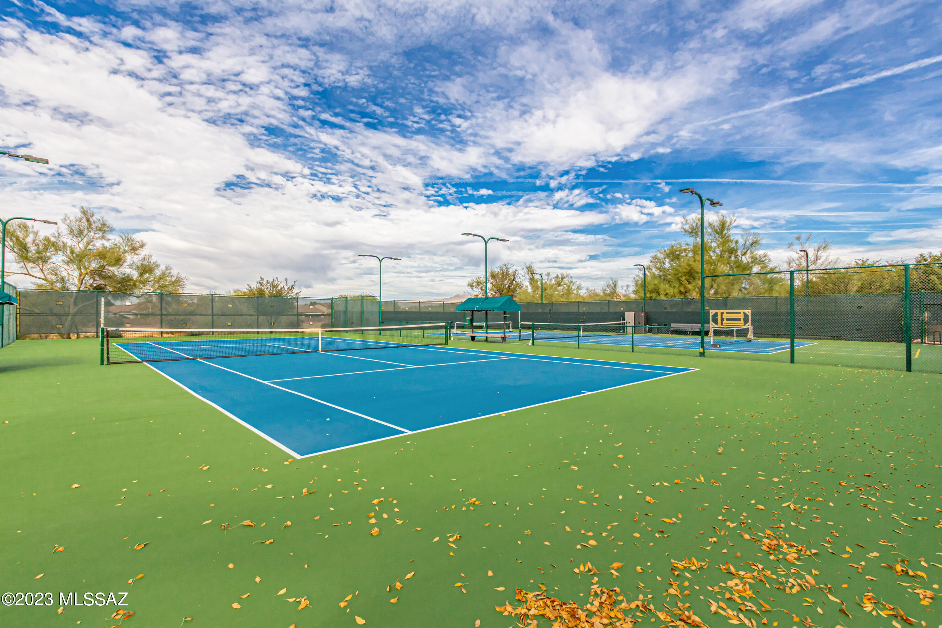 9253 N Twinkling Shadows Way