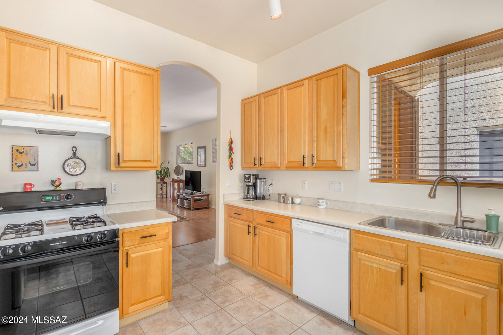 2960 W Desert Glory Drive