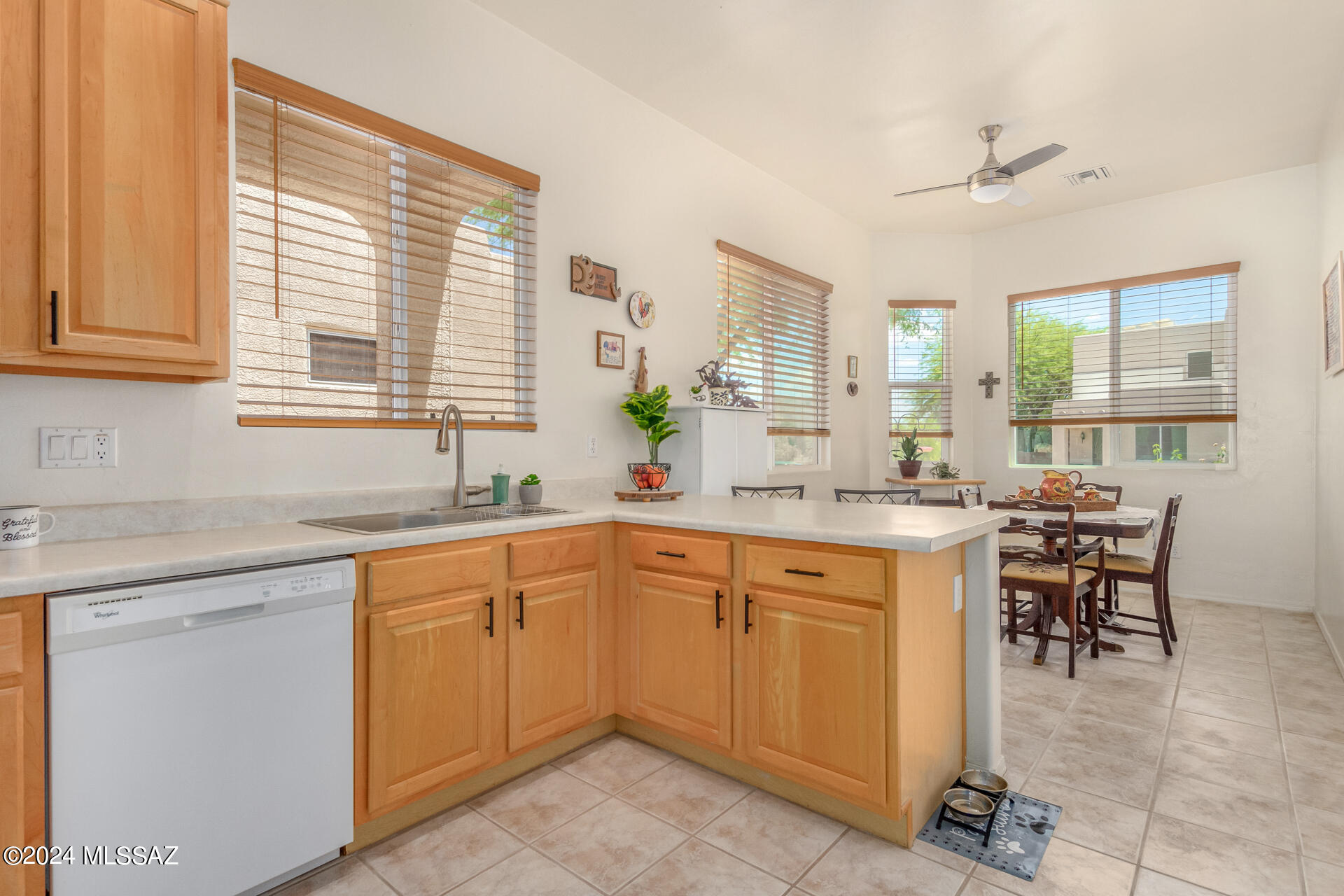 2960 W Desert Glory Drive