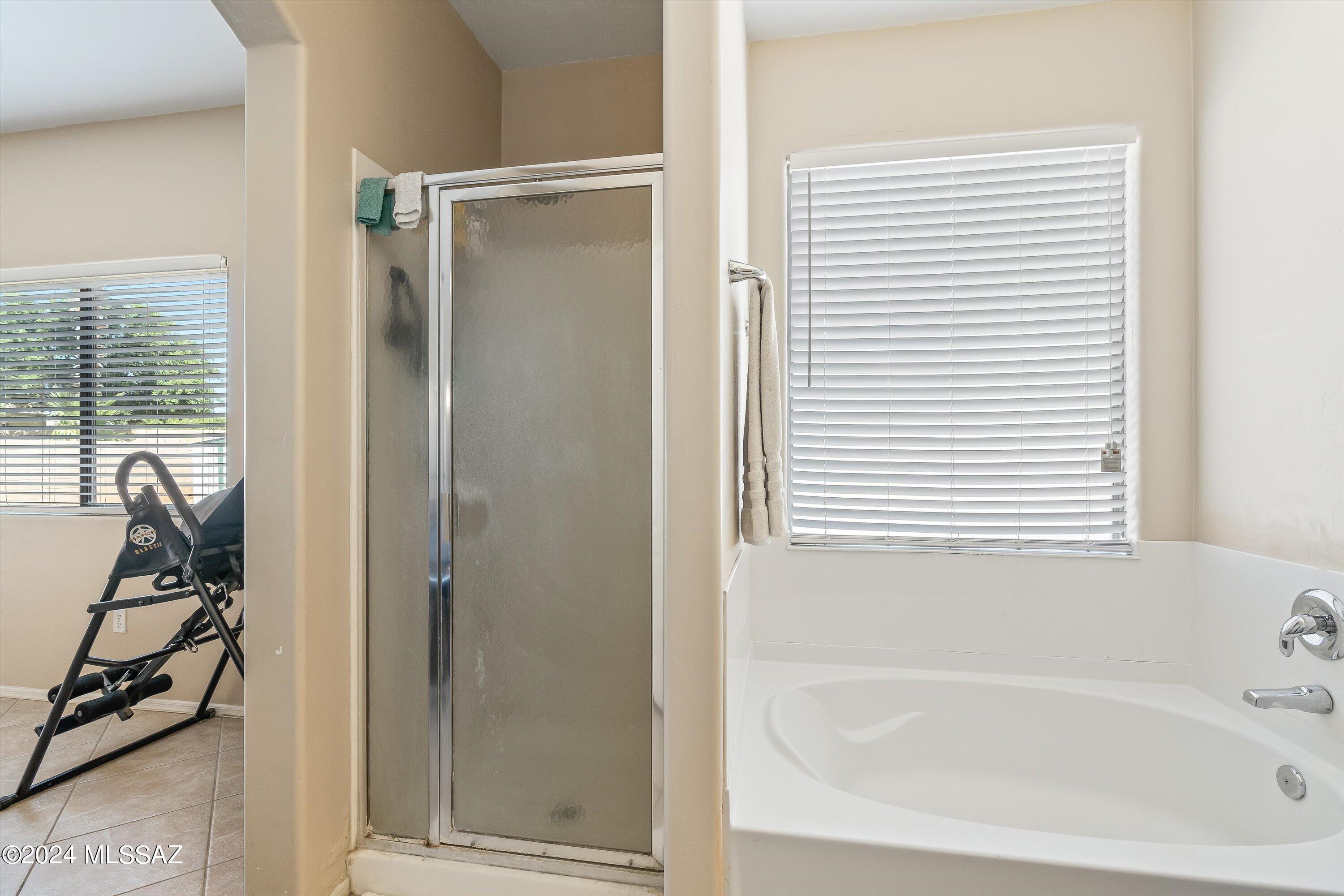 5559 S Desert Redbud Drive