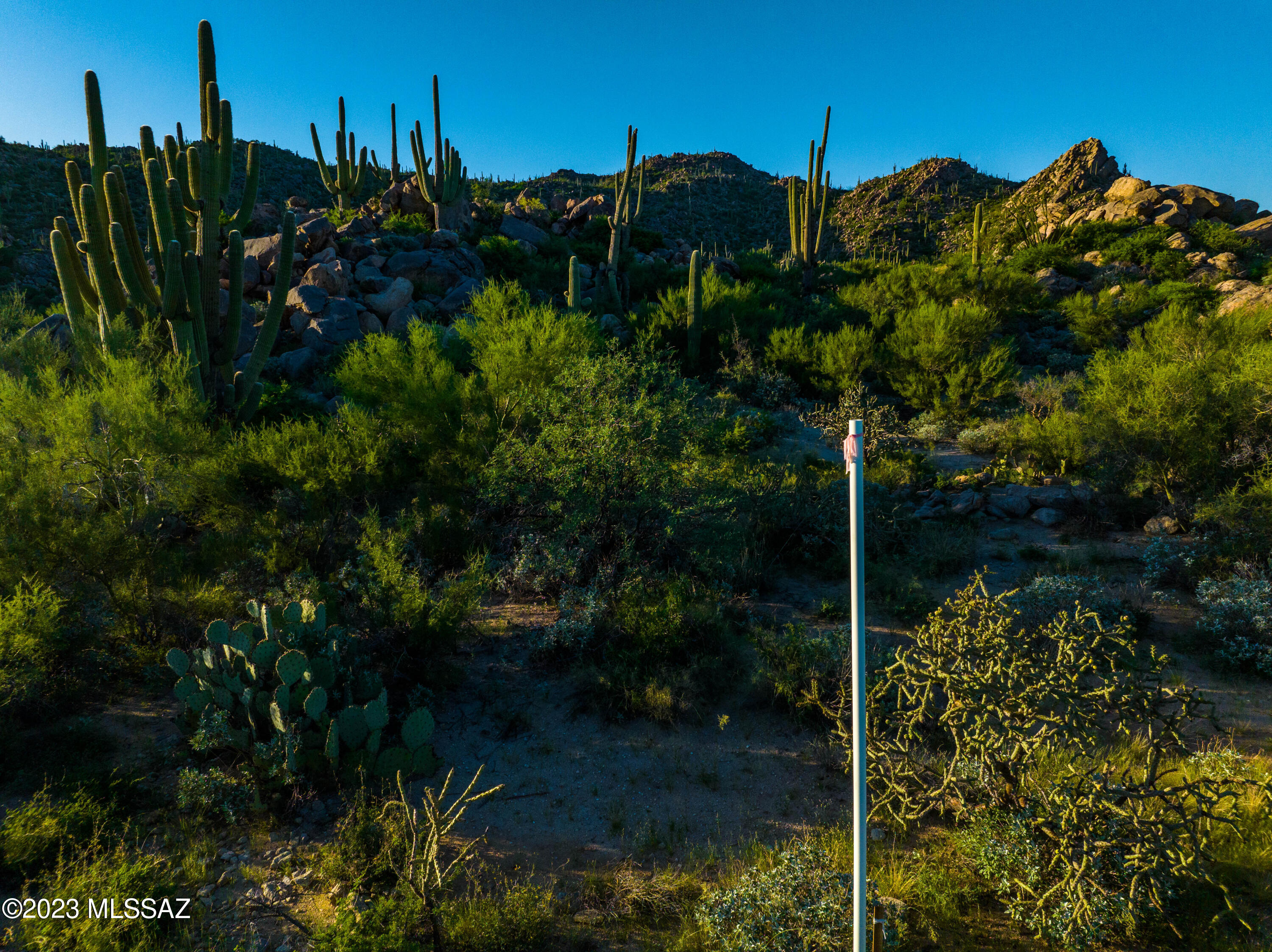 14986 N Slippery Ridge Loop N 413