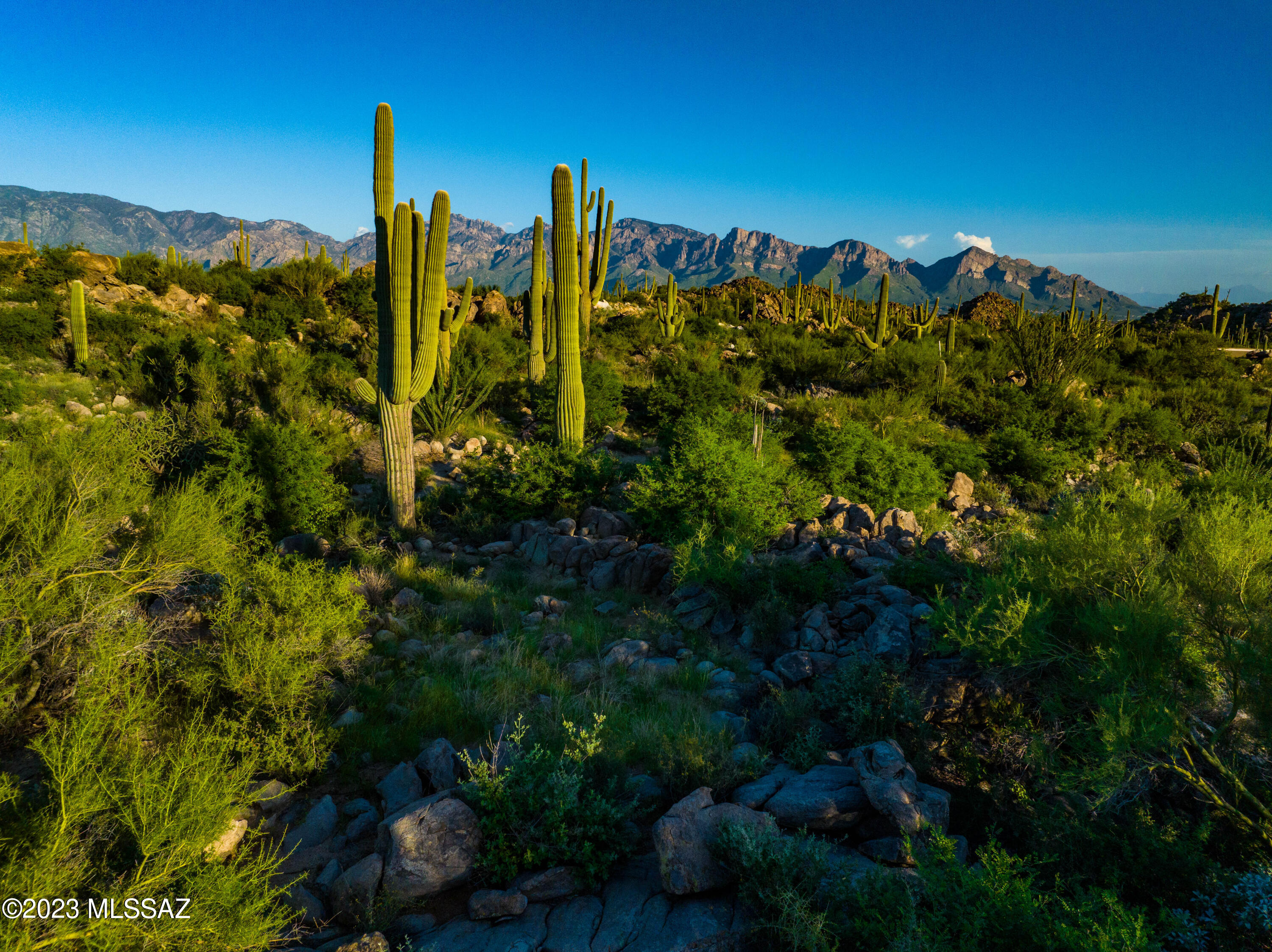 14986 N Slippery Ridge Loop N 413