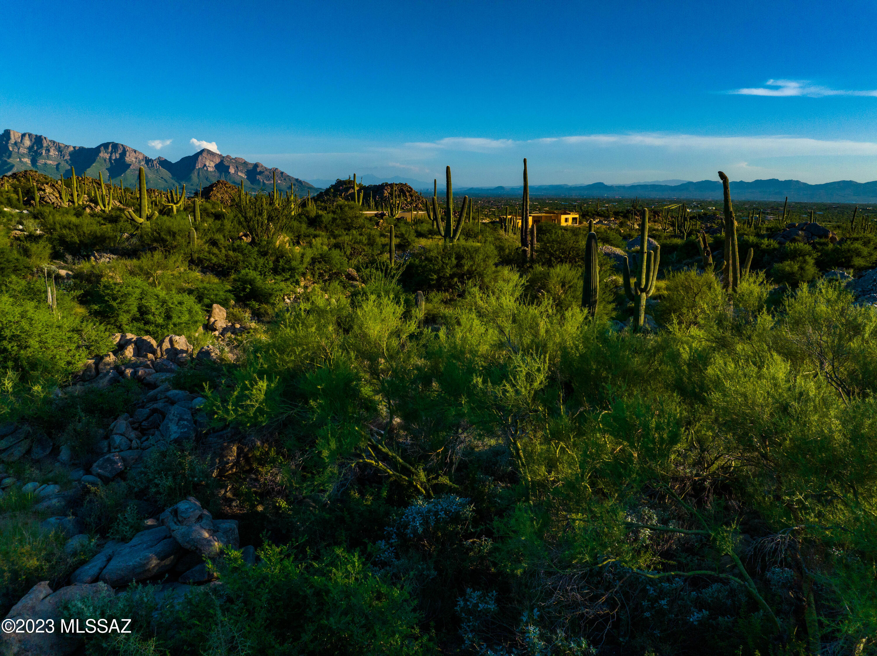 14986 N Slippery Ridge Loop N 413