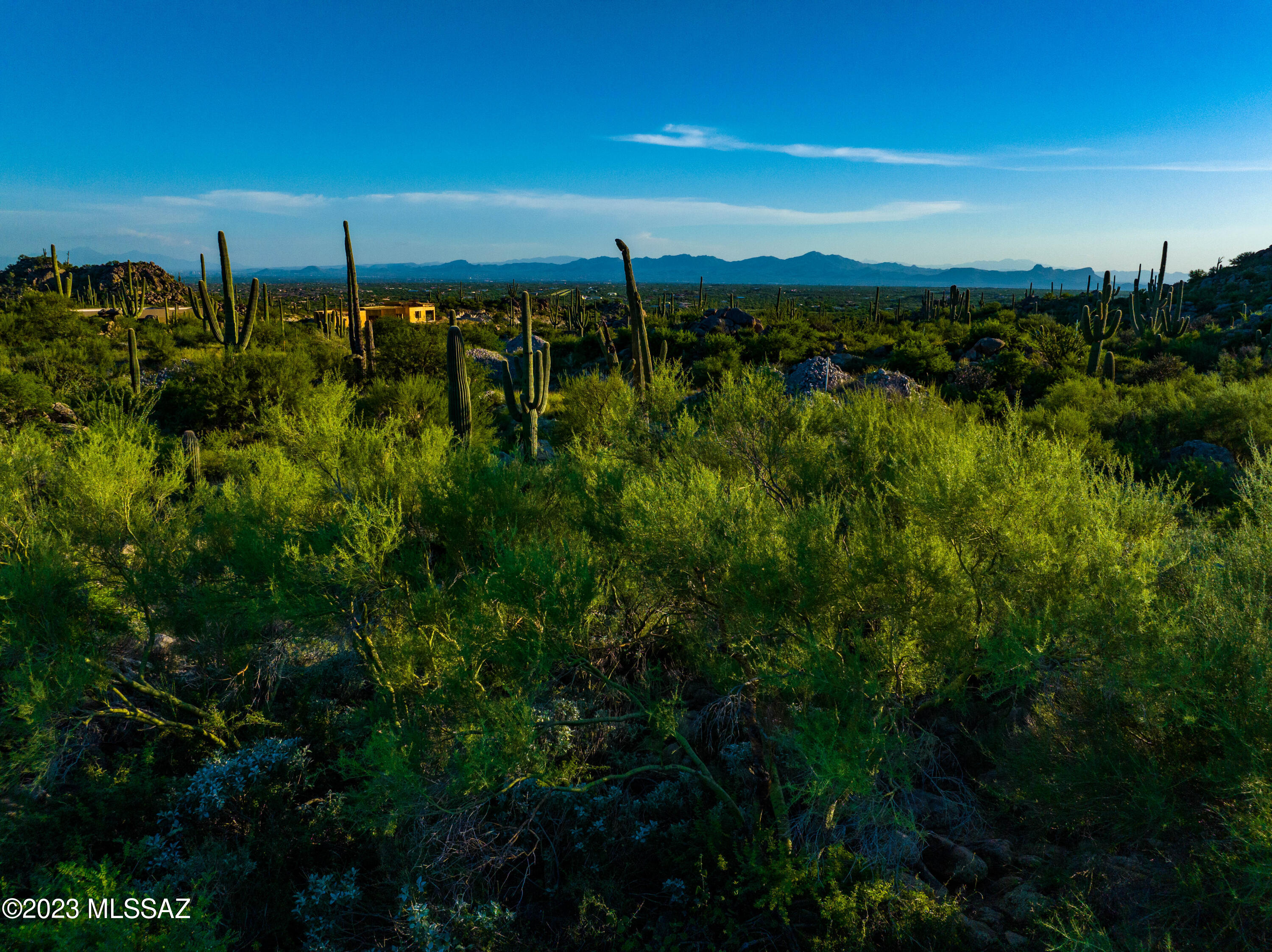 14986 N Slippery Ridge Loop N 413