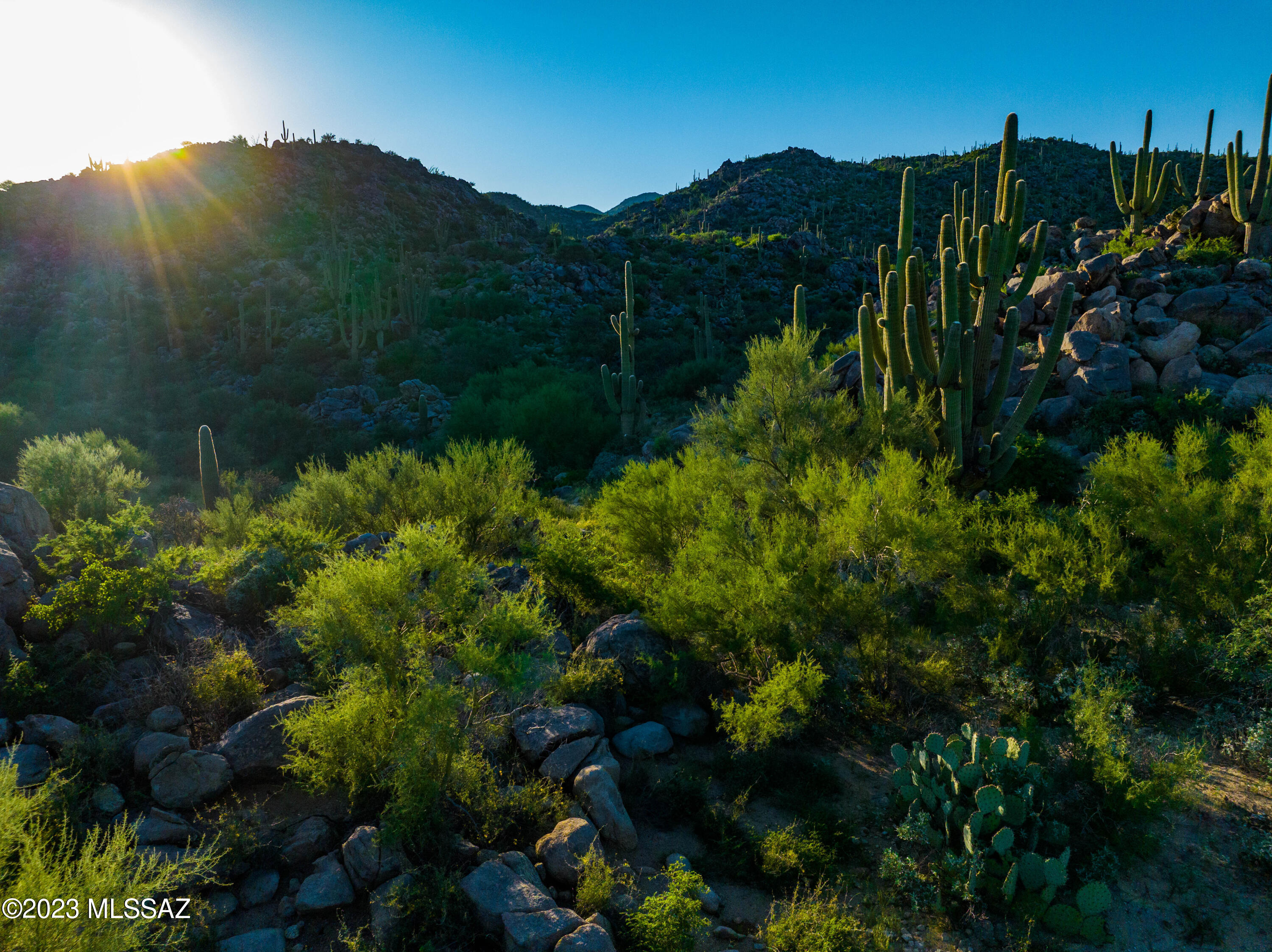 14986 N Slippery Ridge Loop N 413