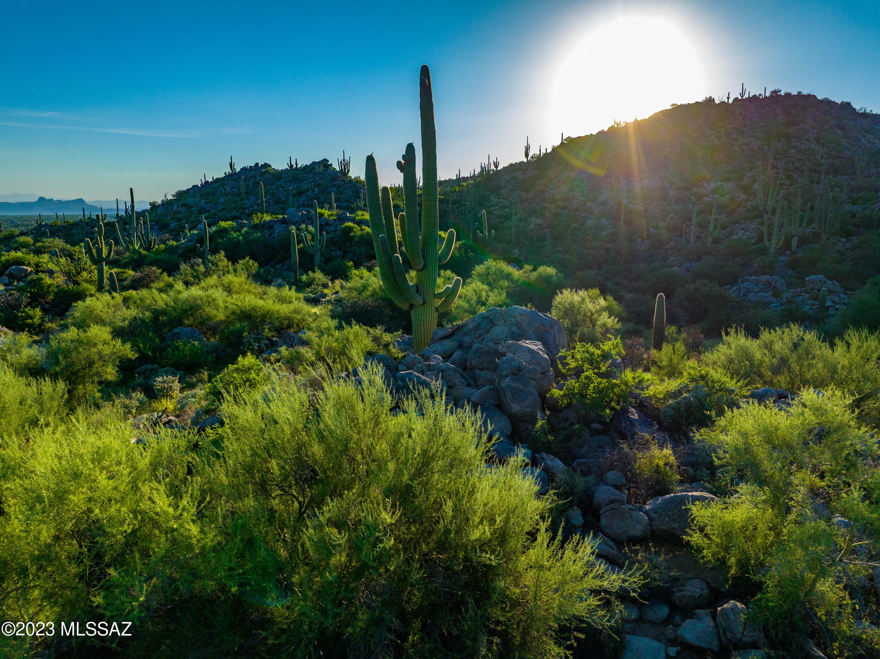 14986 N Slippery Ridge Loop N 413