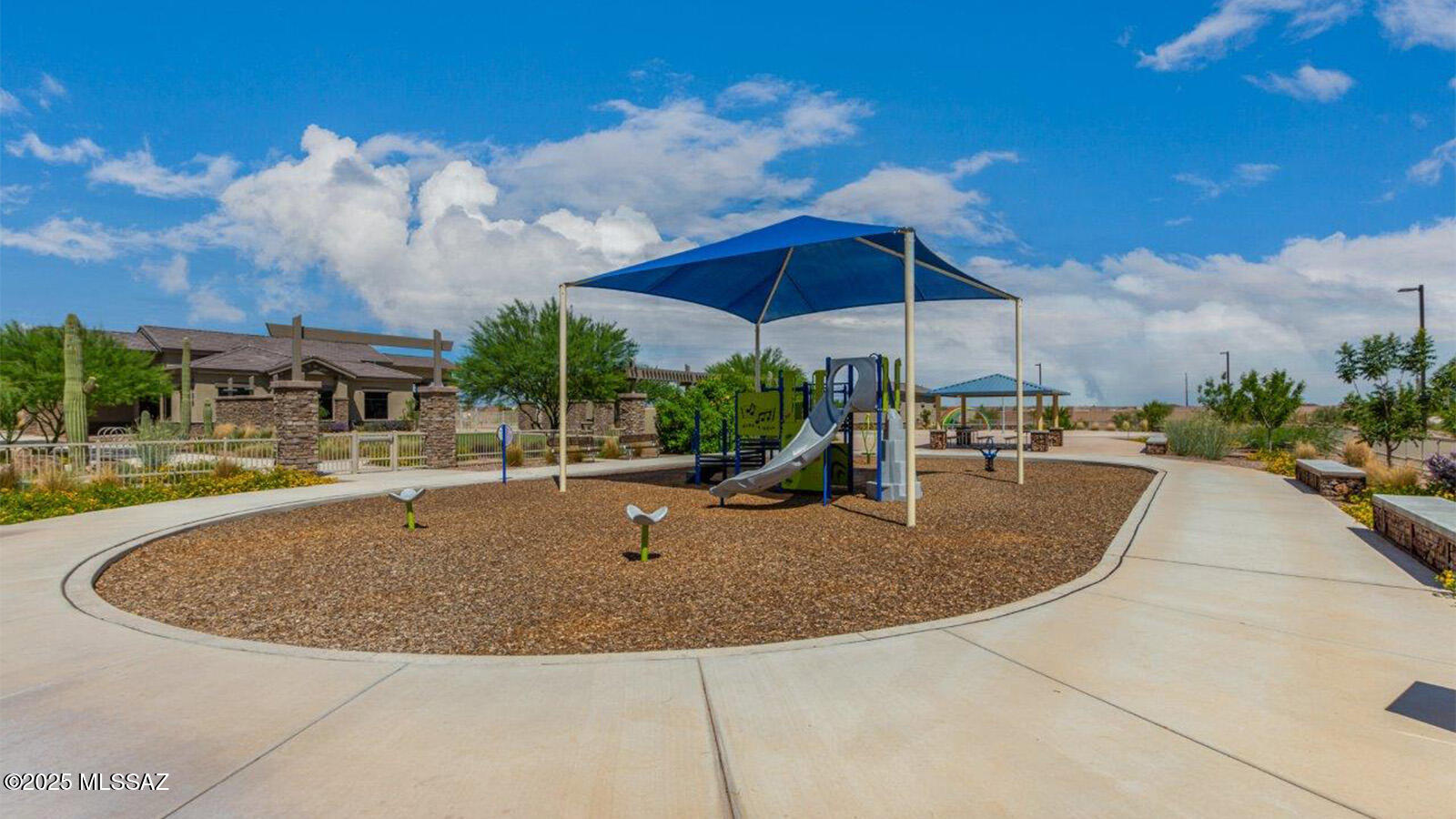 9247 W Creosote Rain Drive