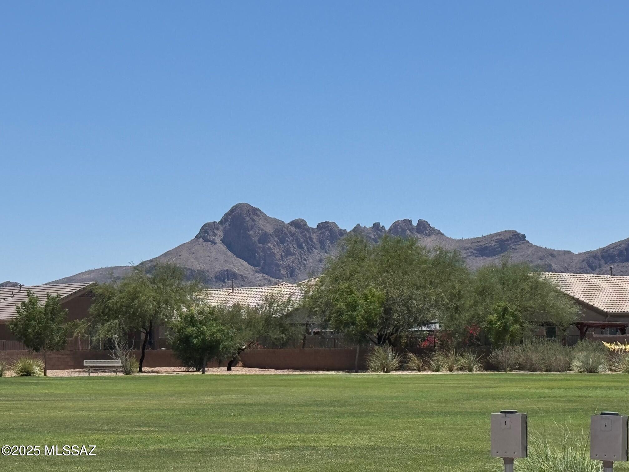 9247 W Creosote Rain Drive