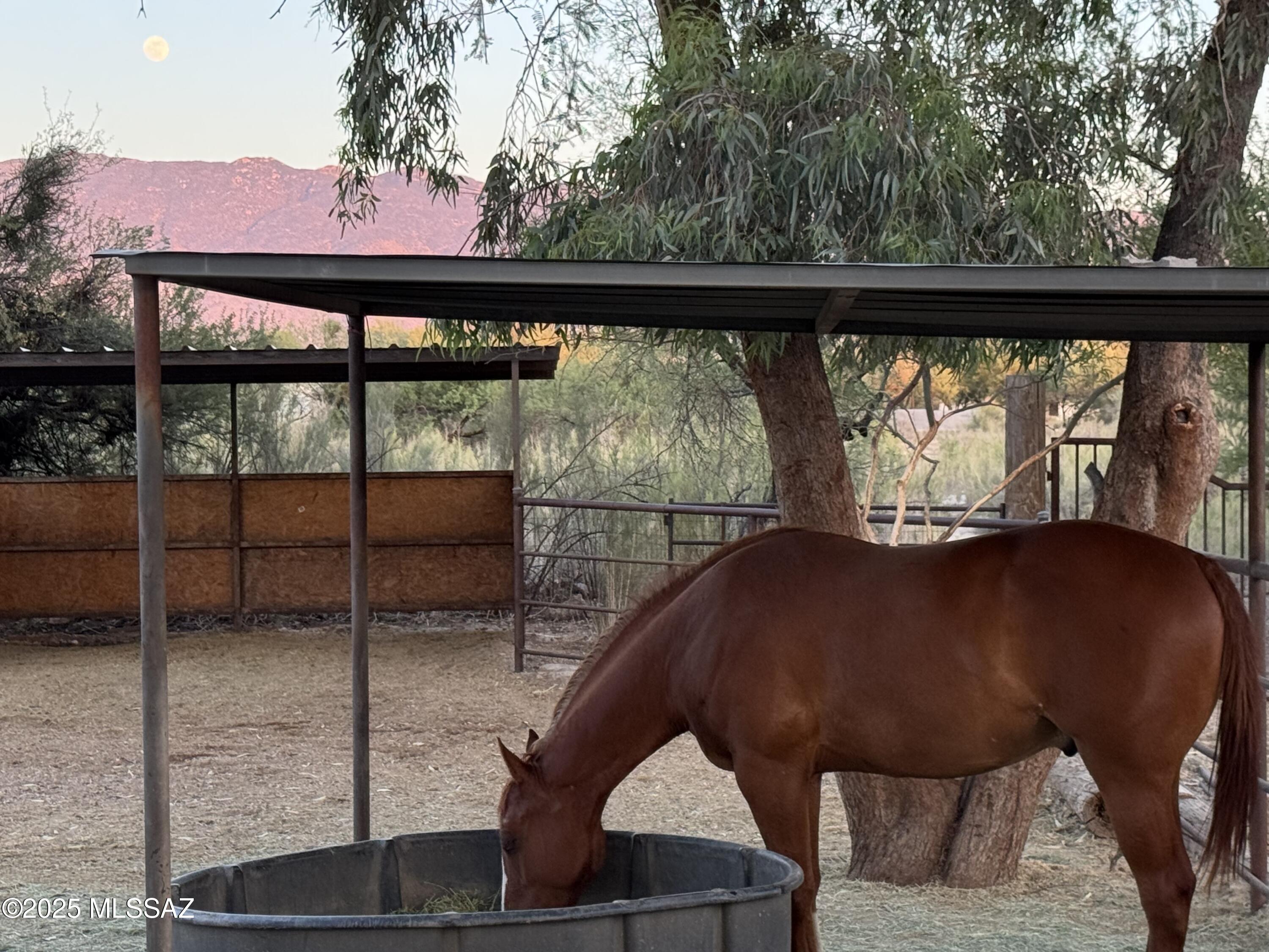 3460 N Via San Juanito