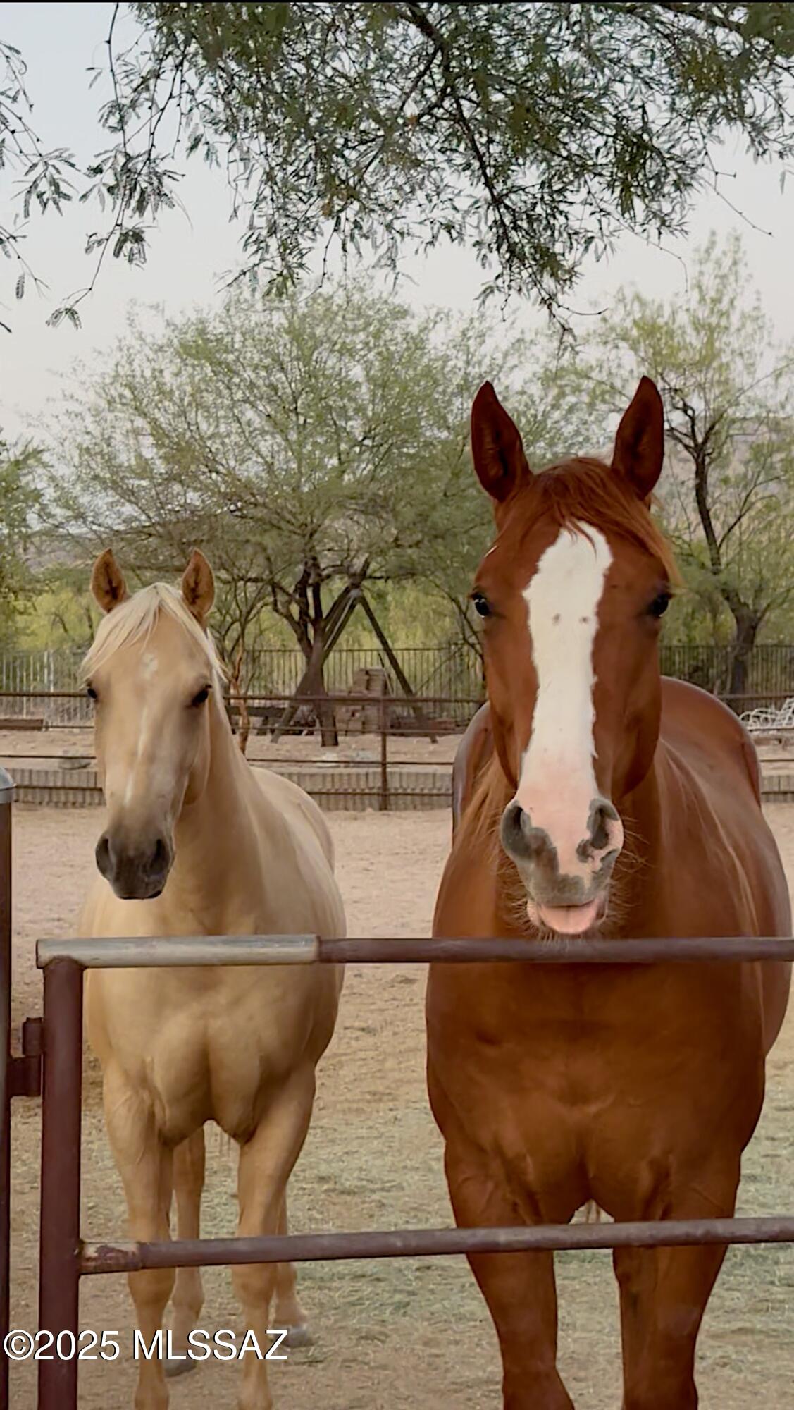 3460 N Via San Juanito