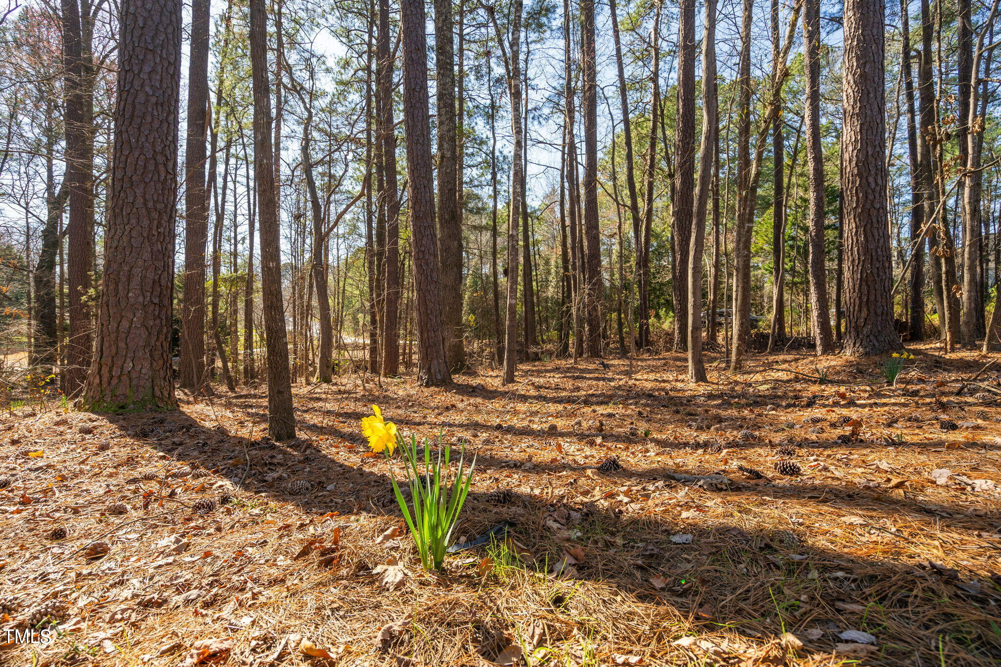 102 Meadowvale Circle