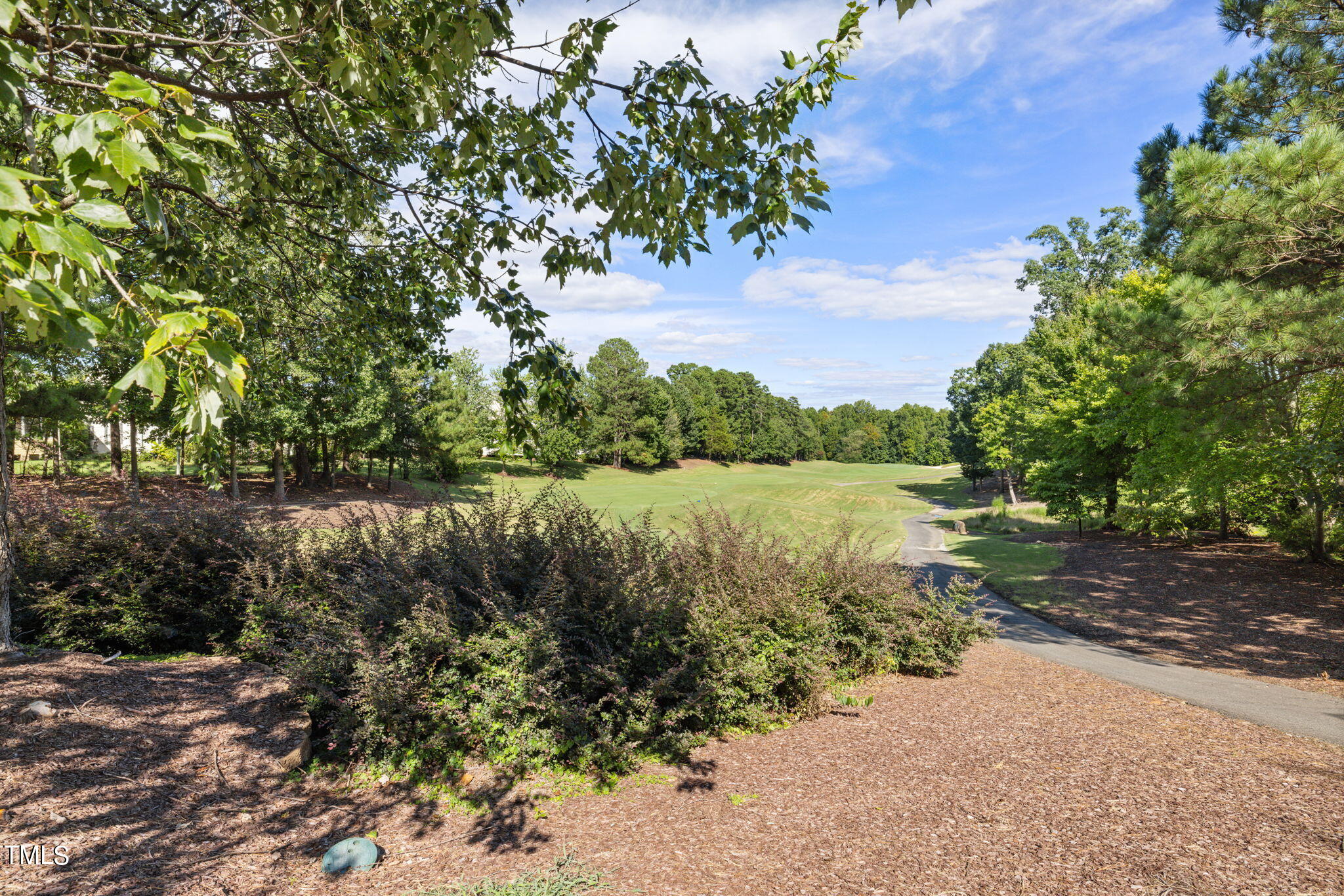 9228 Meadow Mist Court