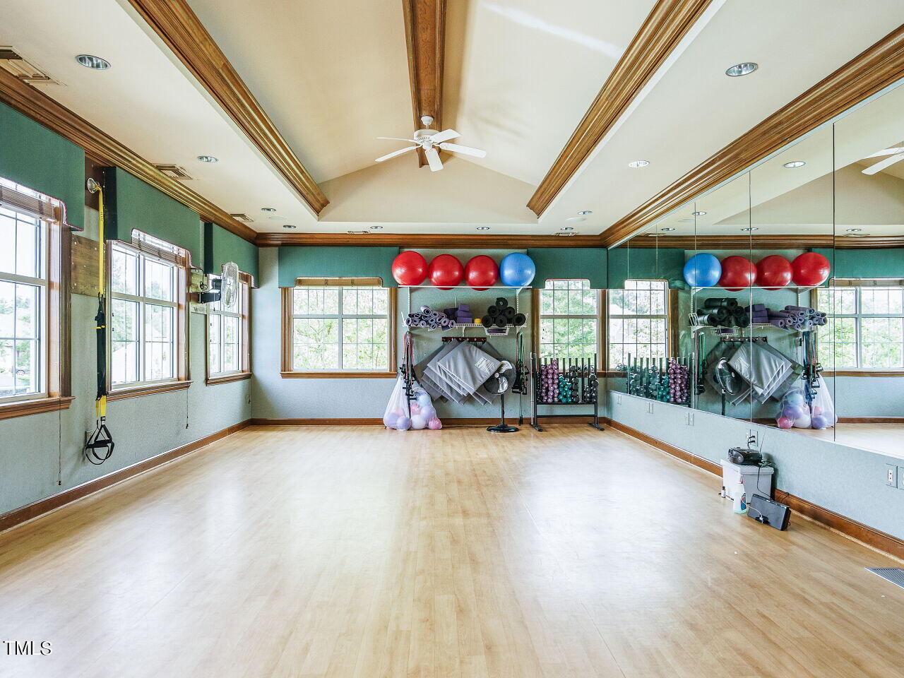 9228 Meadow Mist Court