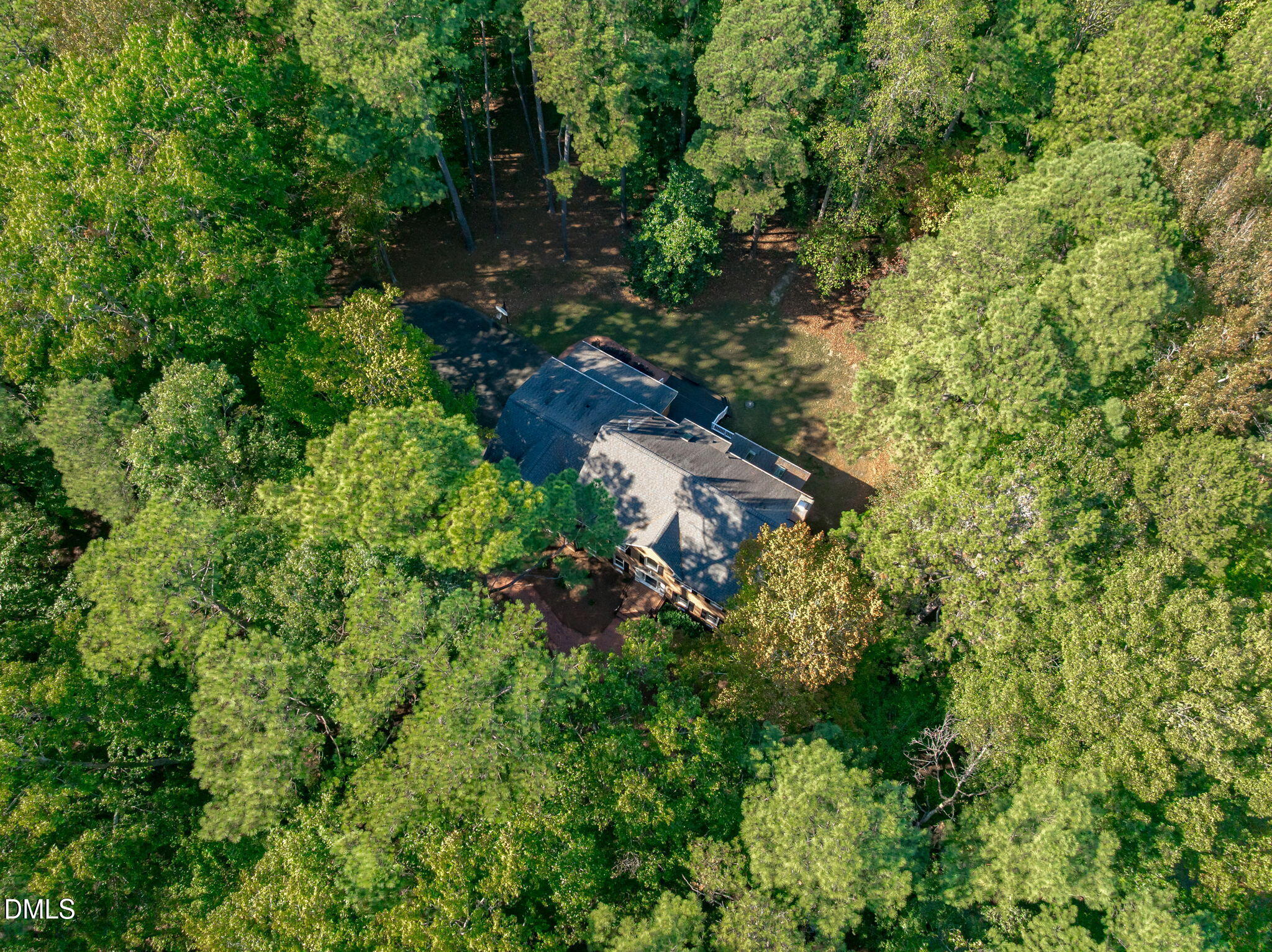 3717 Brackenridge Lane