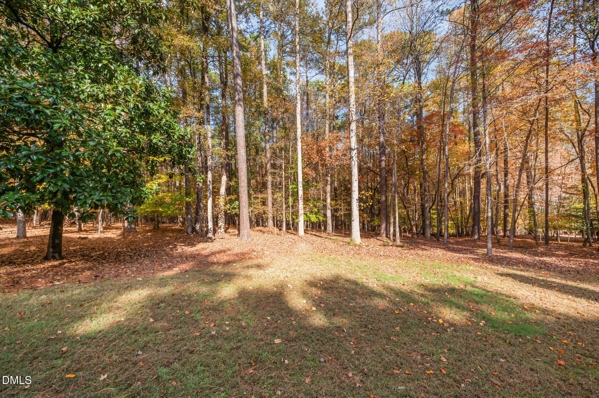 3717 Brackenridge Lane