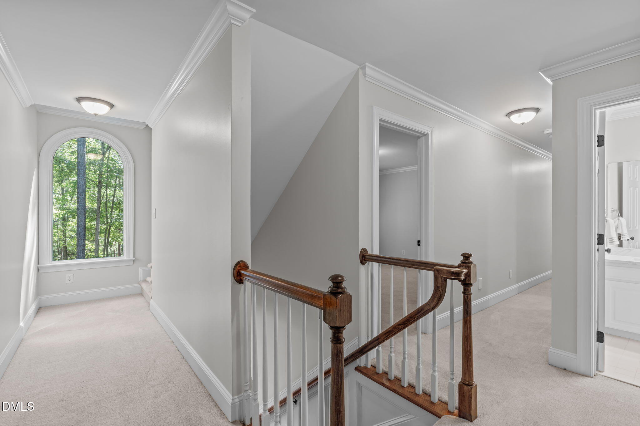 3717 Brackenridge Lane
