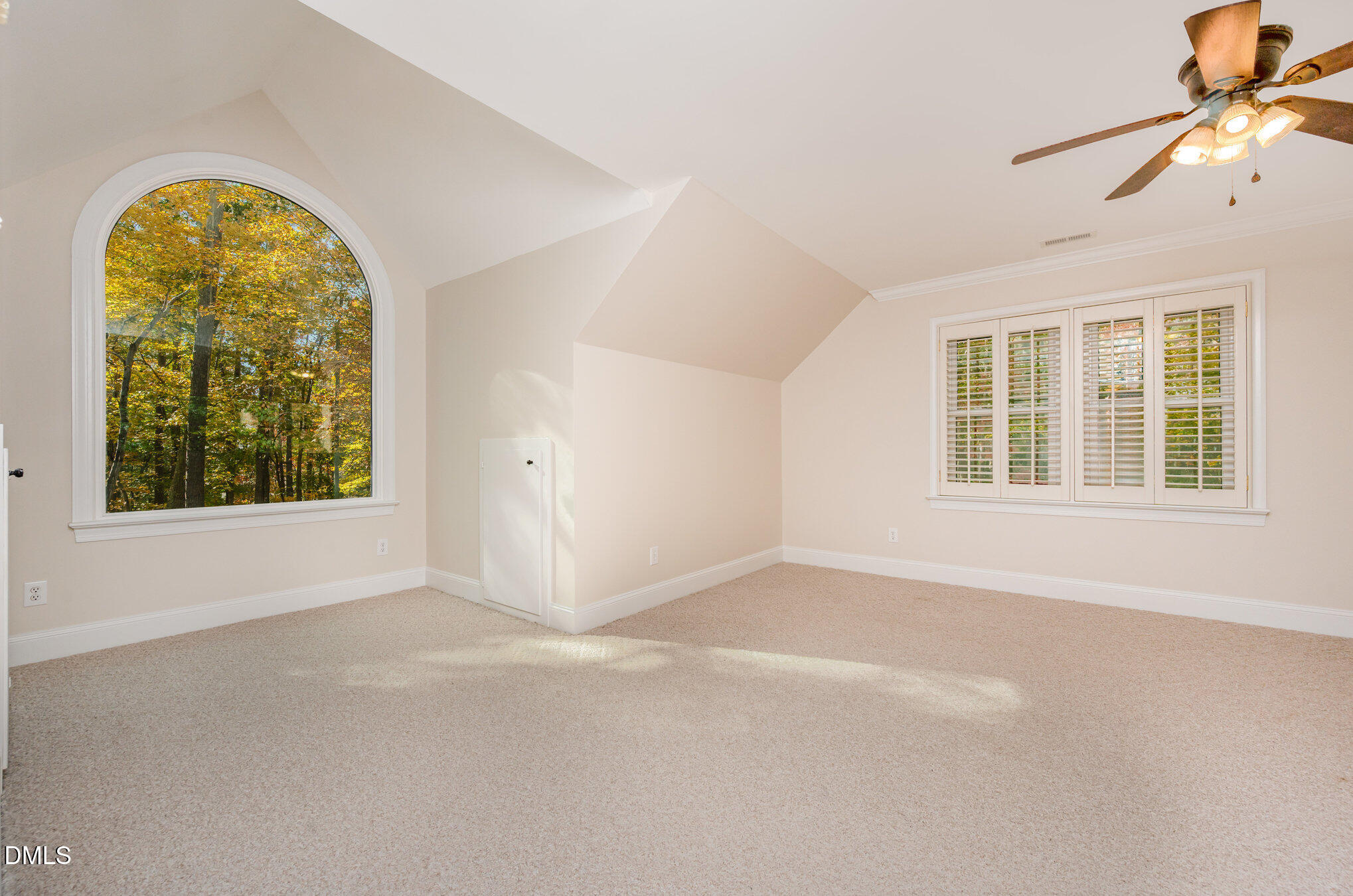 3717 Brackenridge Lane