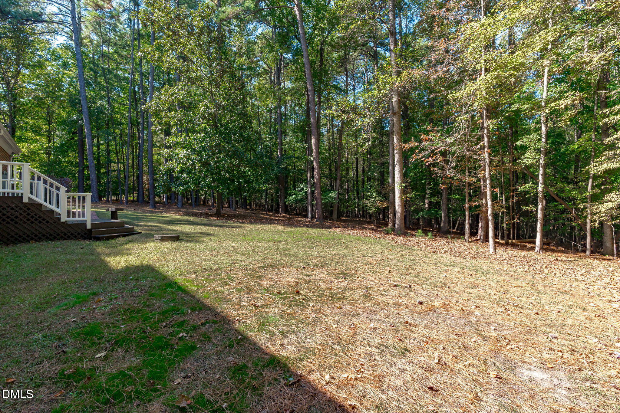3717 Brackenridge Lane