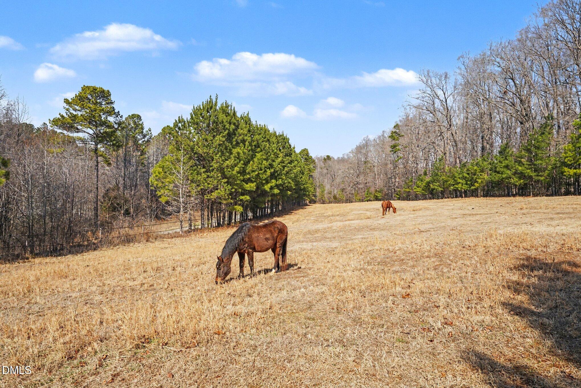 3787 Pleasant Hill Church Road