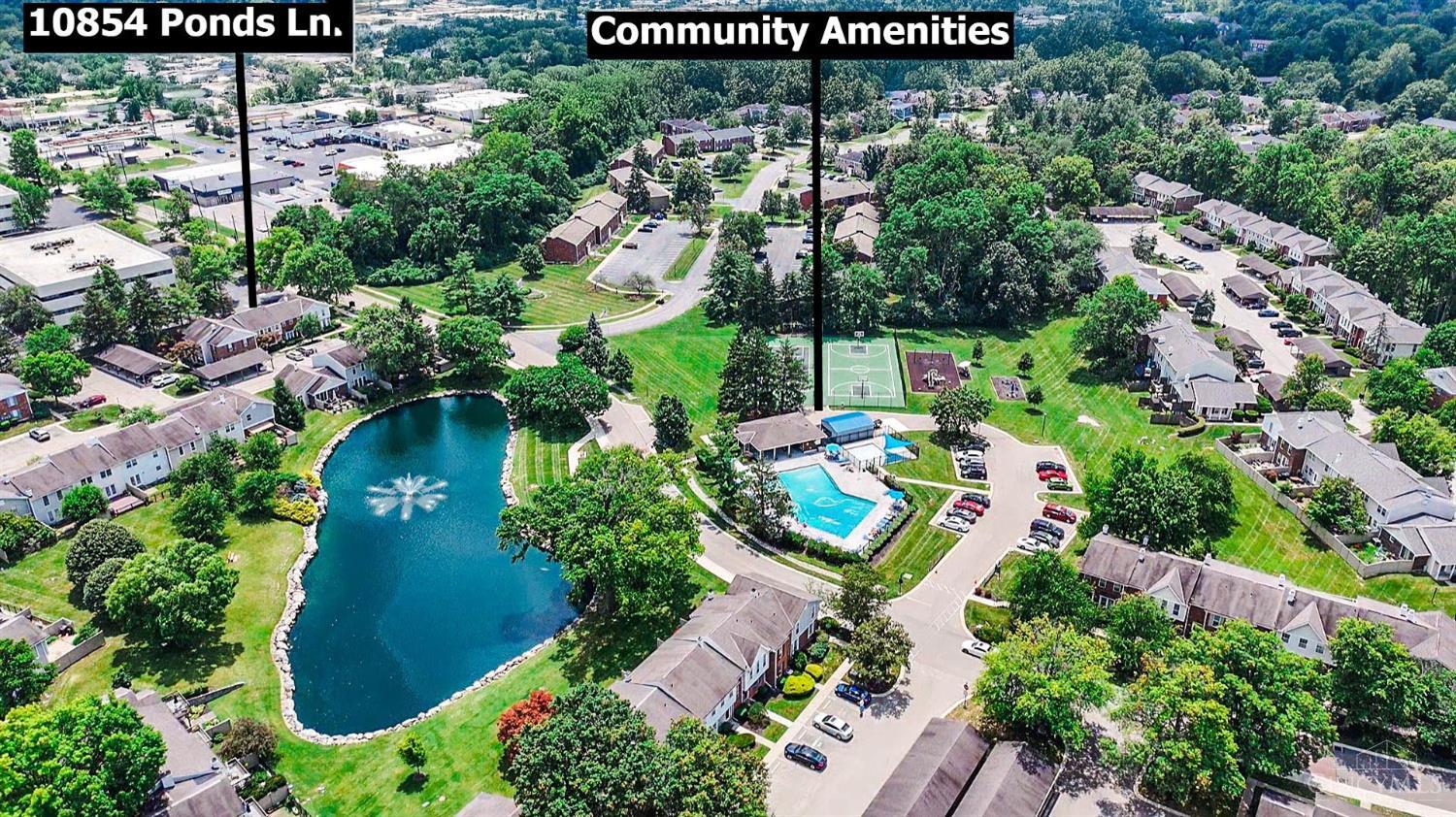 10854 Ponds Lane 8