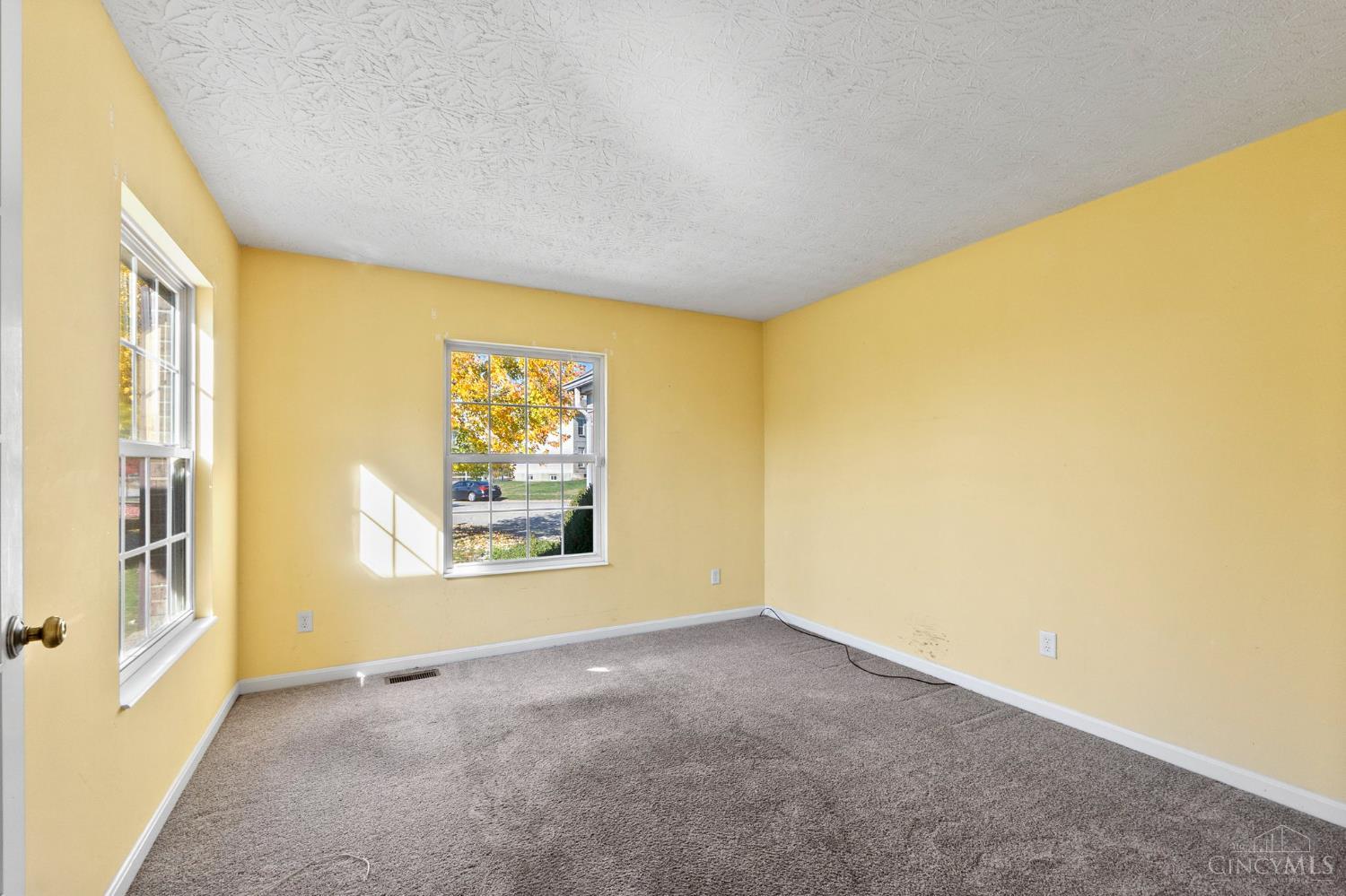 3299 Sycamore Woods Lane