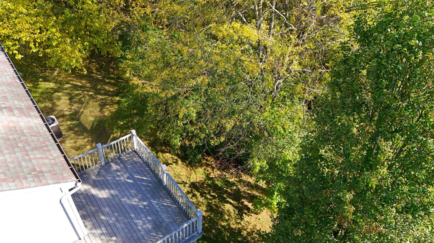 3299 Sycamore Woods Lane