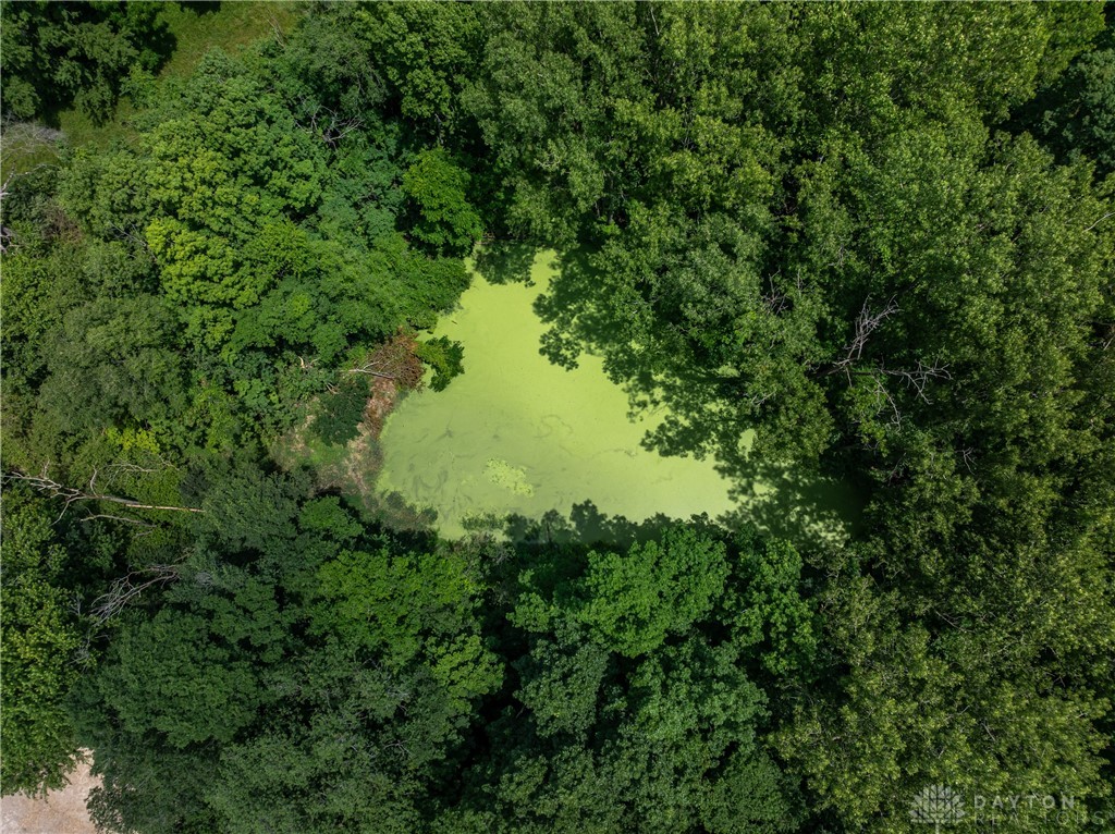 8480 Taylorsville Road