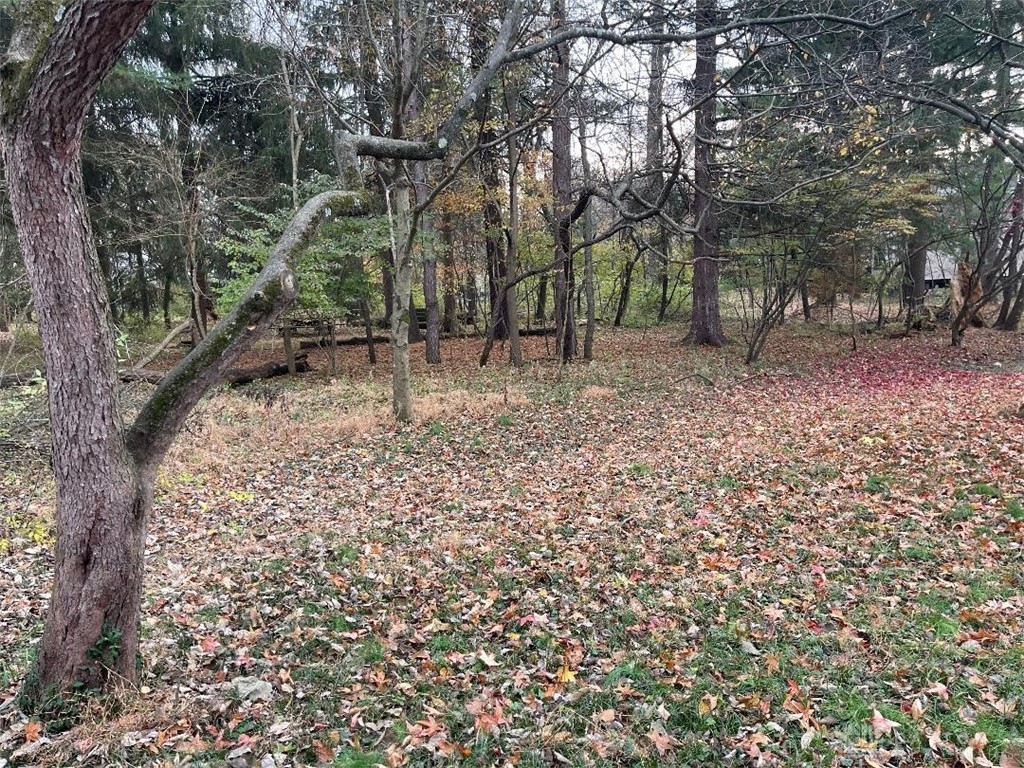 420 W Whiteman Street