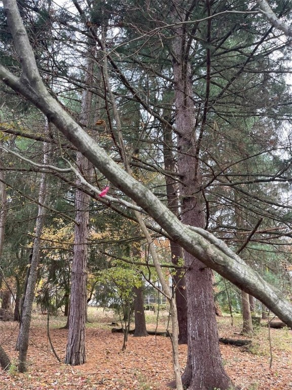 420 W Whiteman Street