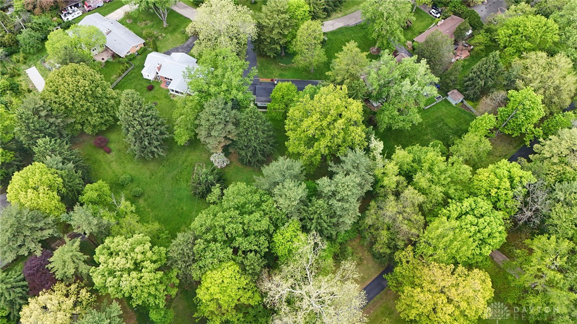 1431 Meadow Lane