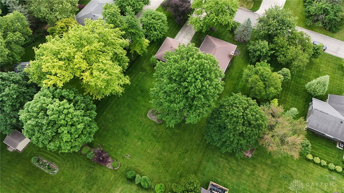313 Towncrest Drive