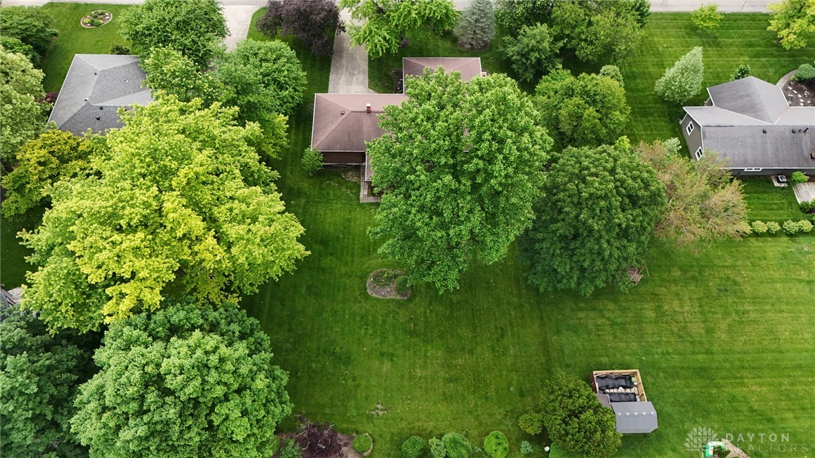 313 Towncrest Drive