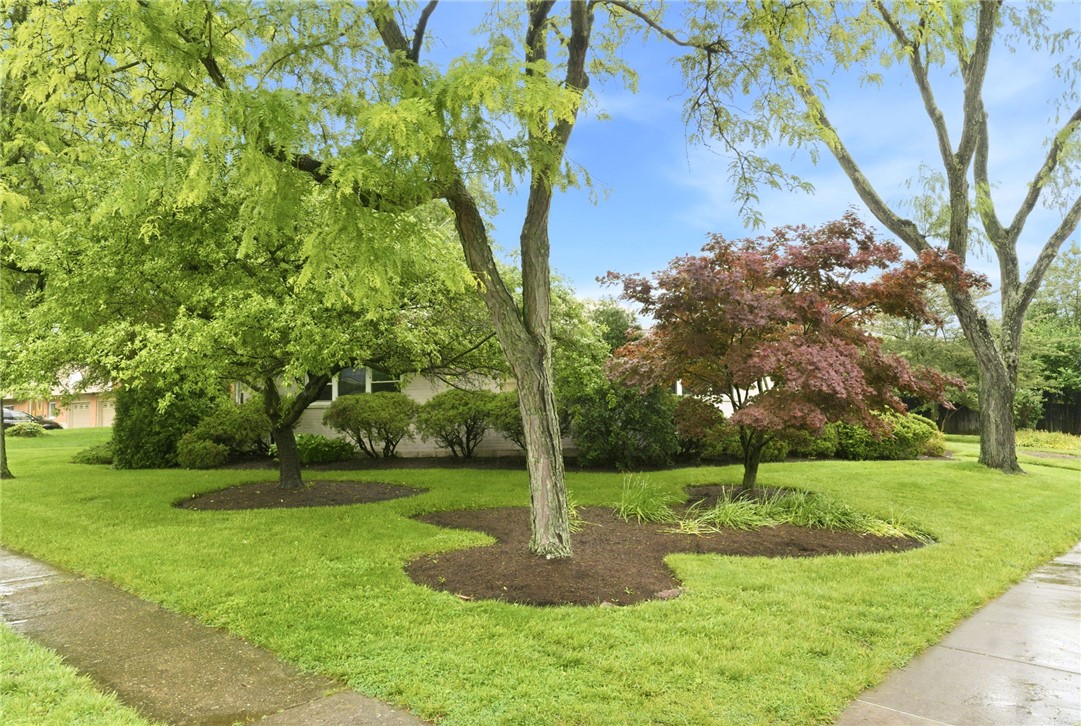2501 Parklawn Drive