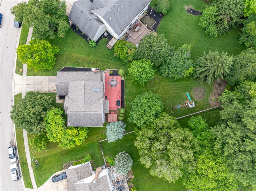 35 Berryhill Court
