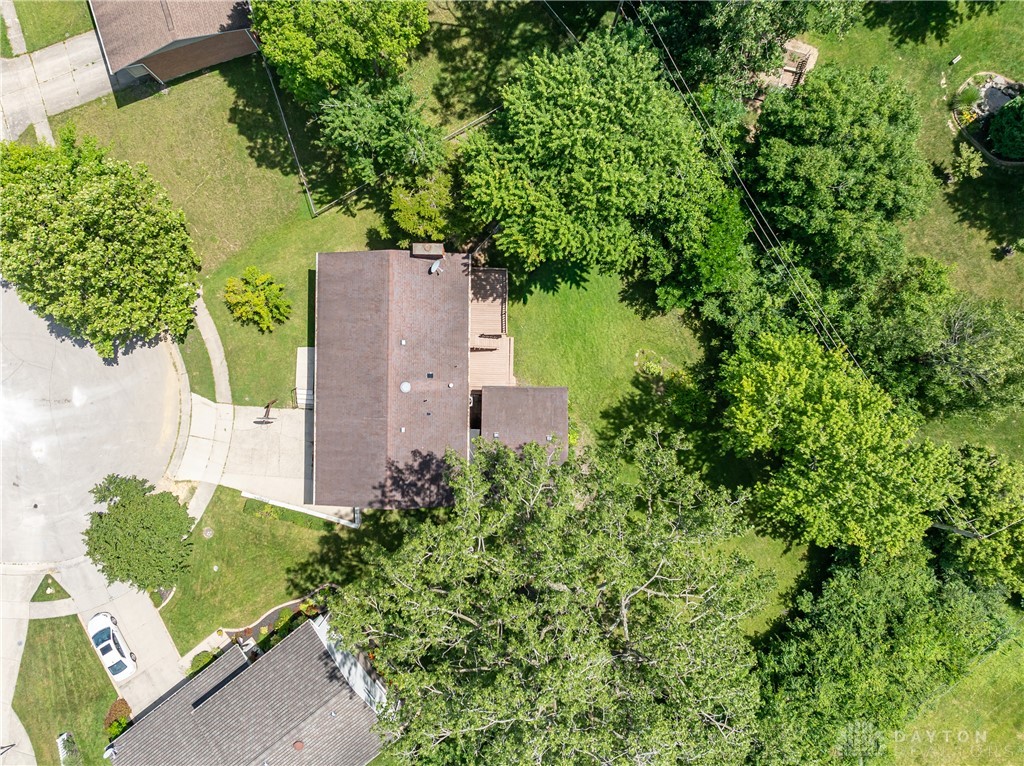 703 Friar Tuck Court