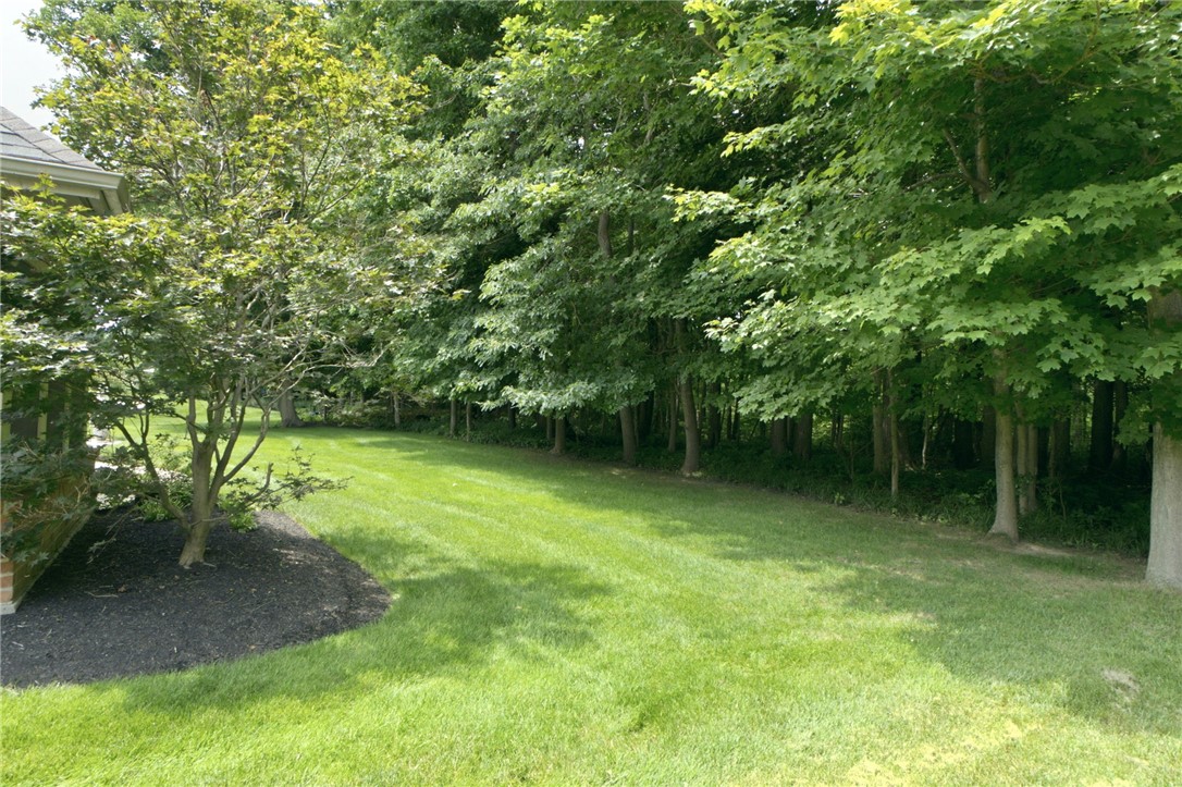 3896 Northfield Dr.
