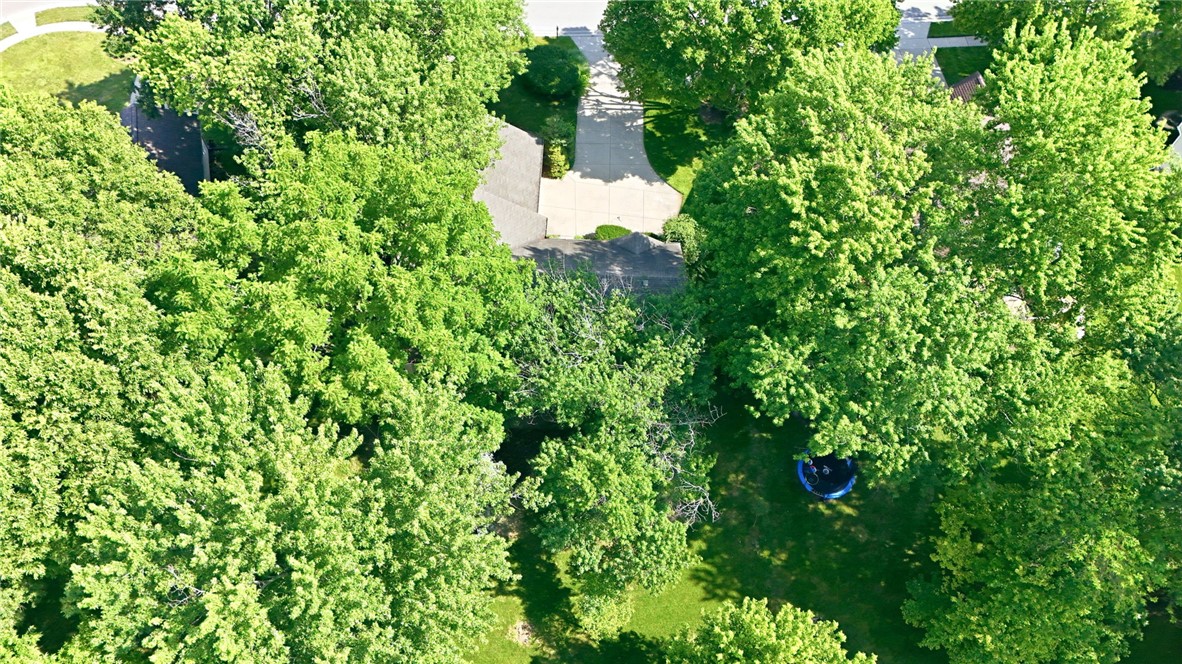 65 Reed Road