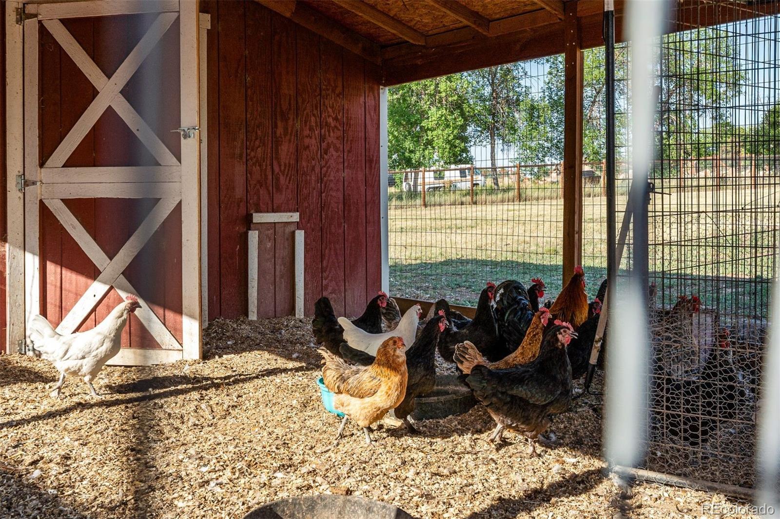 14217 Downing Street