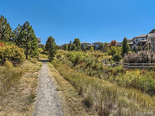 10710 Manor Stone Drive