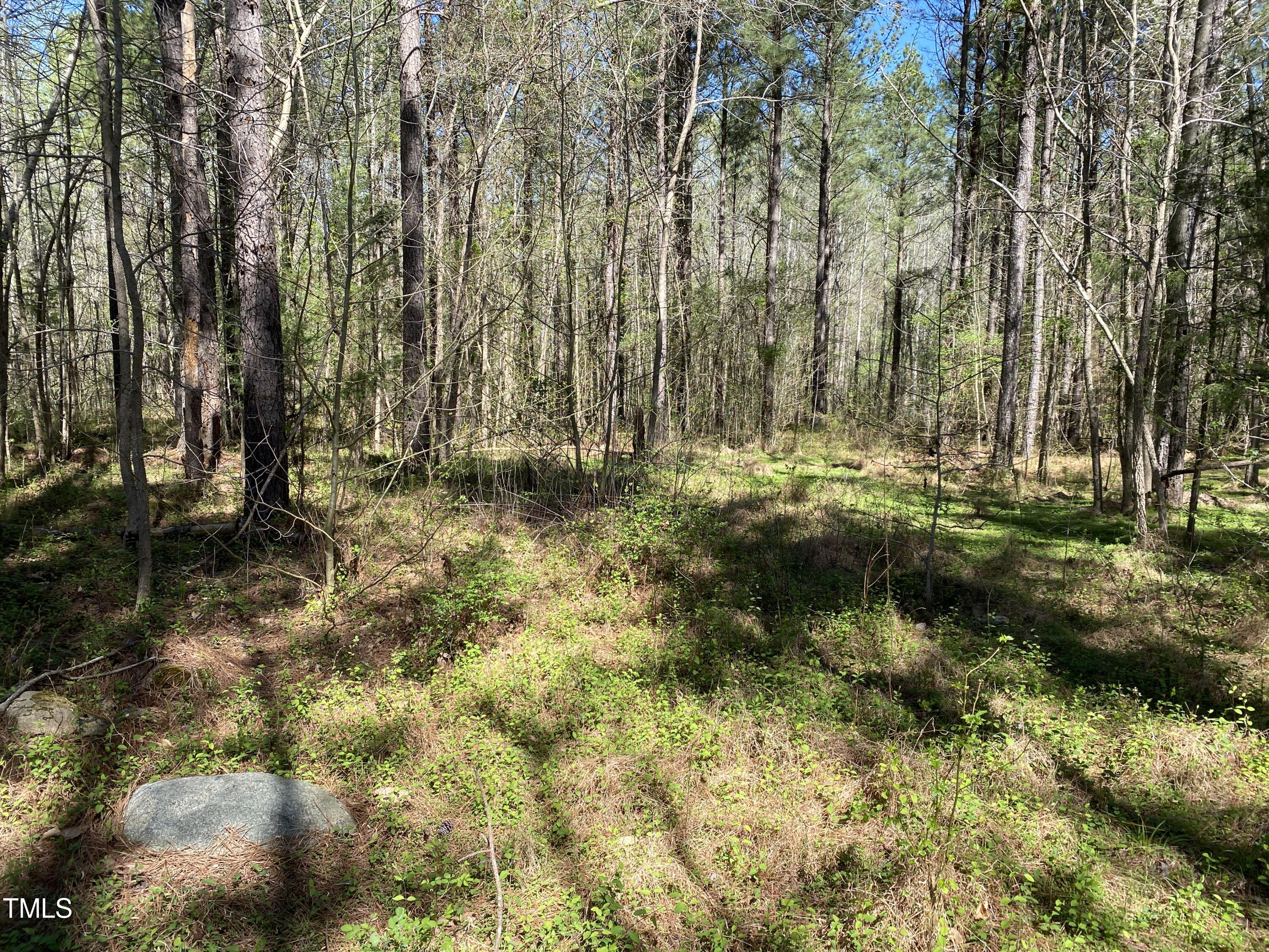 Lot 2 Mountain Creek Road