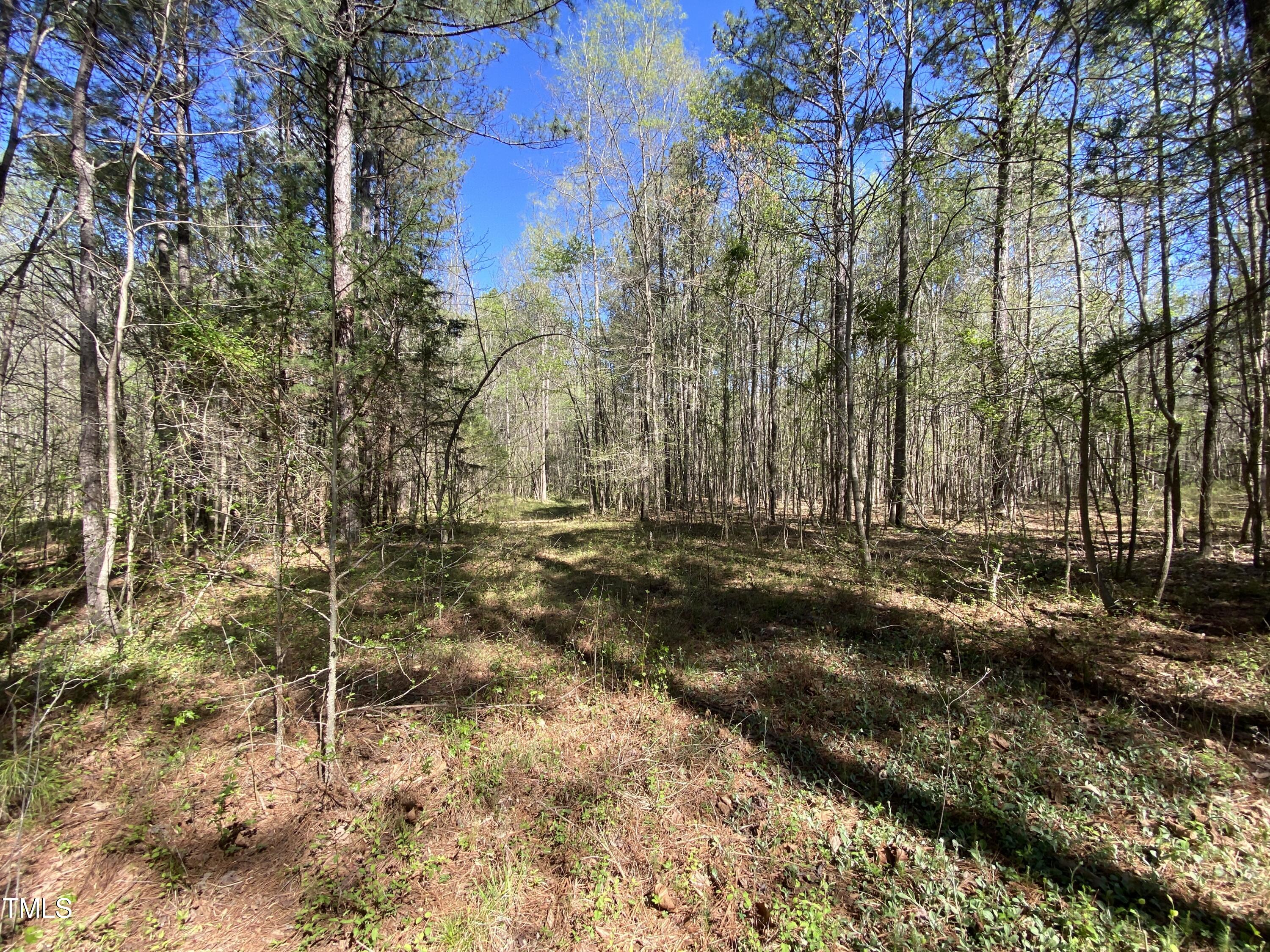 Lot 2 Mountain Creek Road