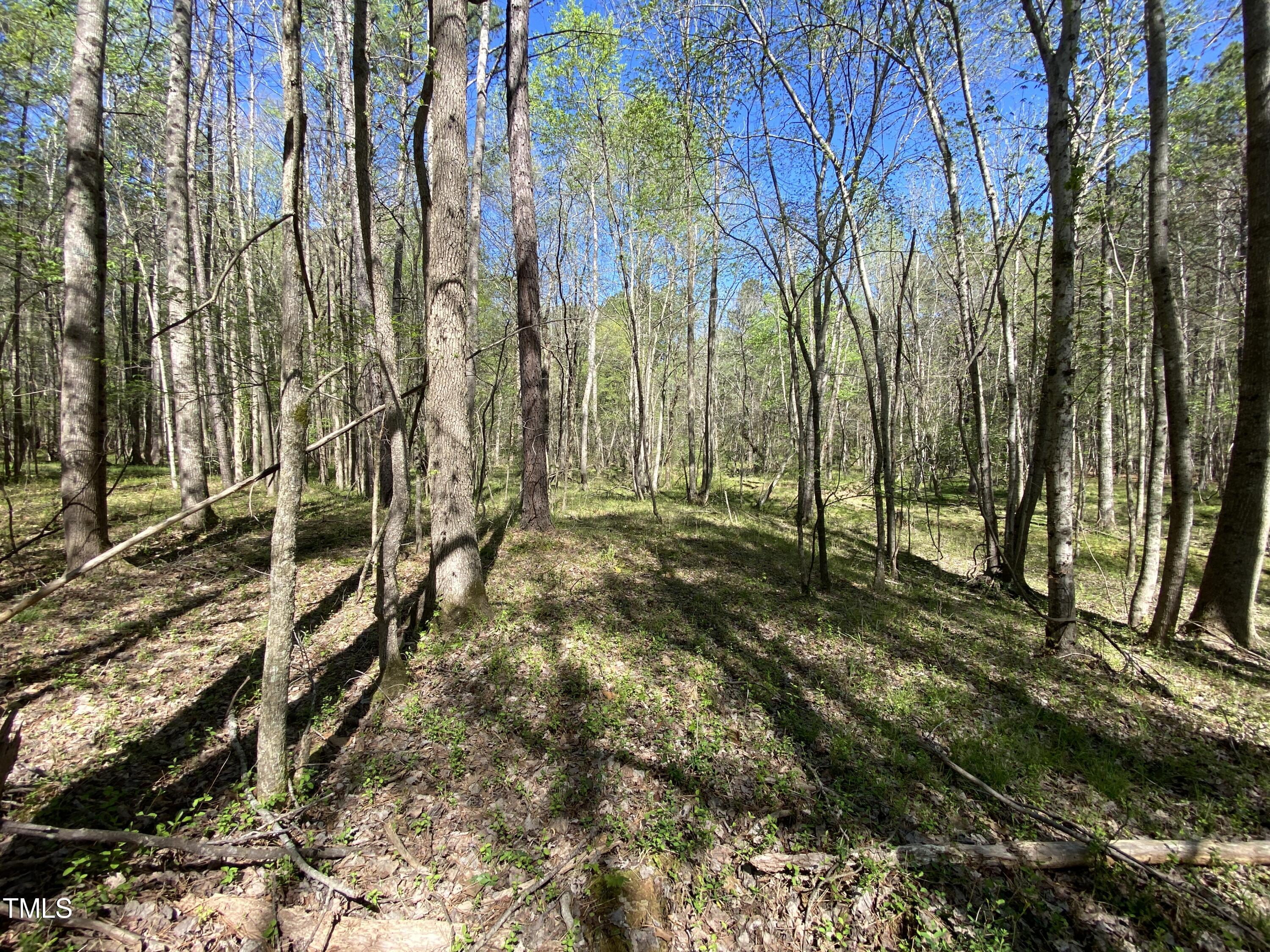 Lot 2 Mountain Creek Road