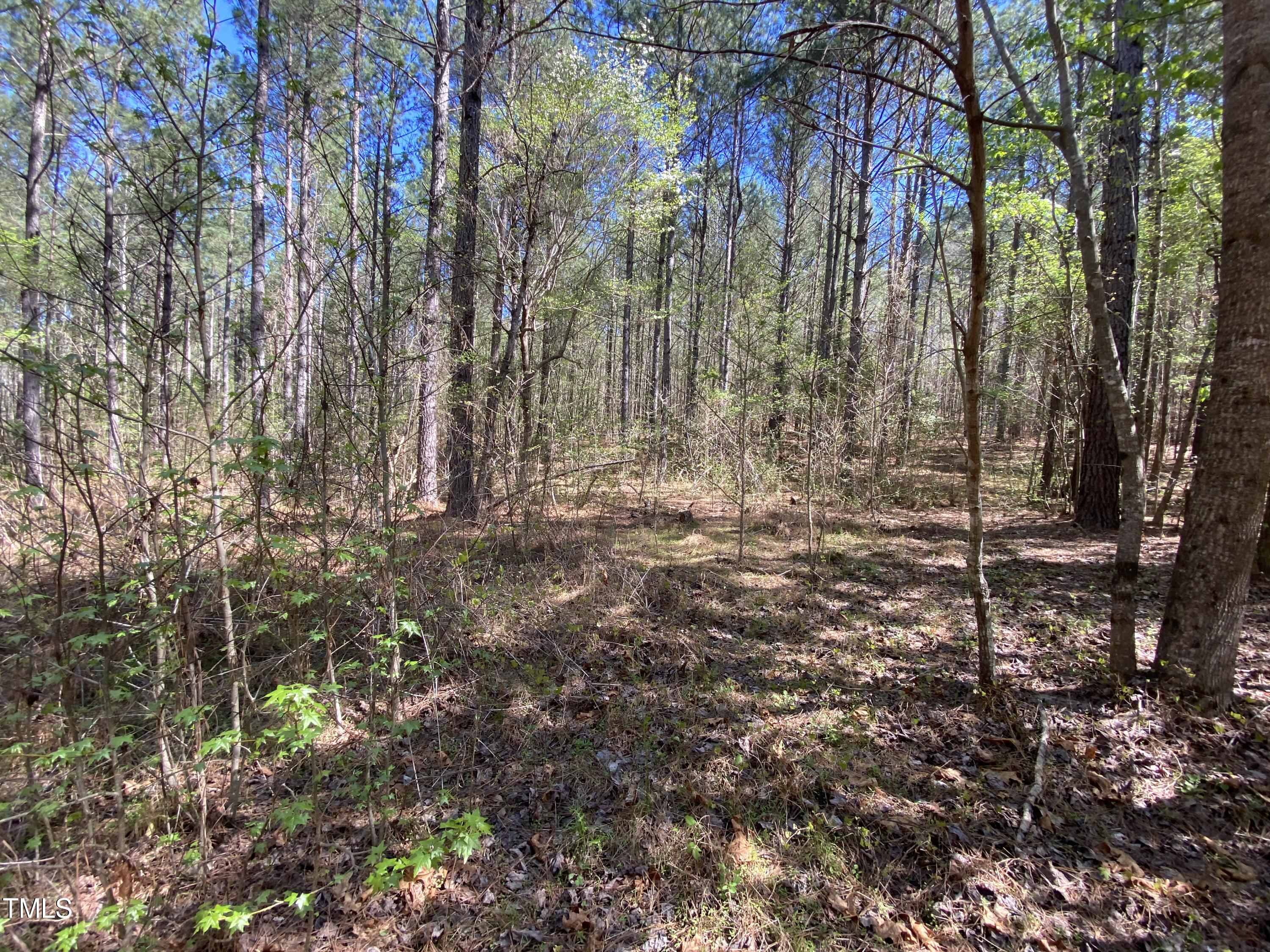 Lot 2 Mountain Creek Road