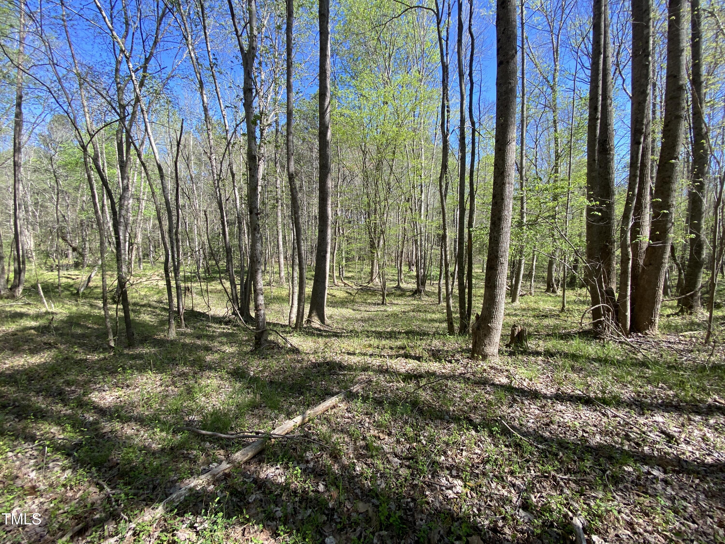 Lot 2 Mountain Creek Road