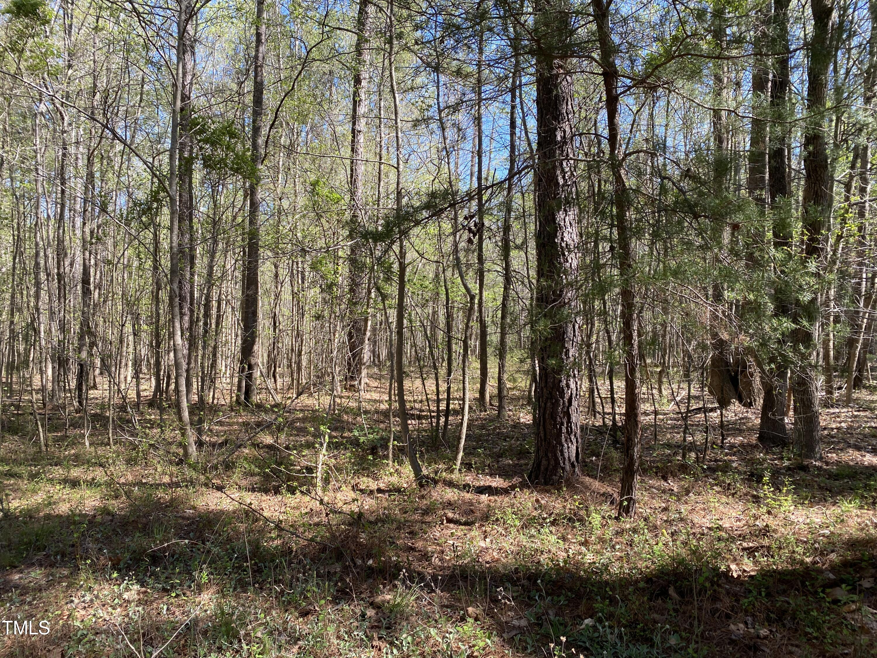 Lot 2 Mountain Creek Road