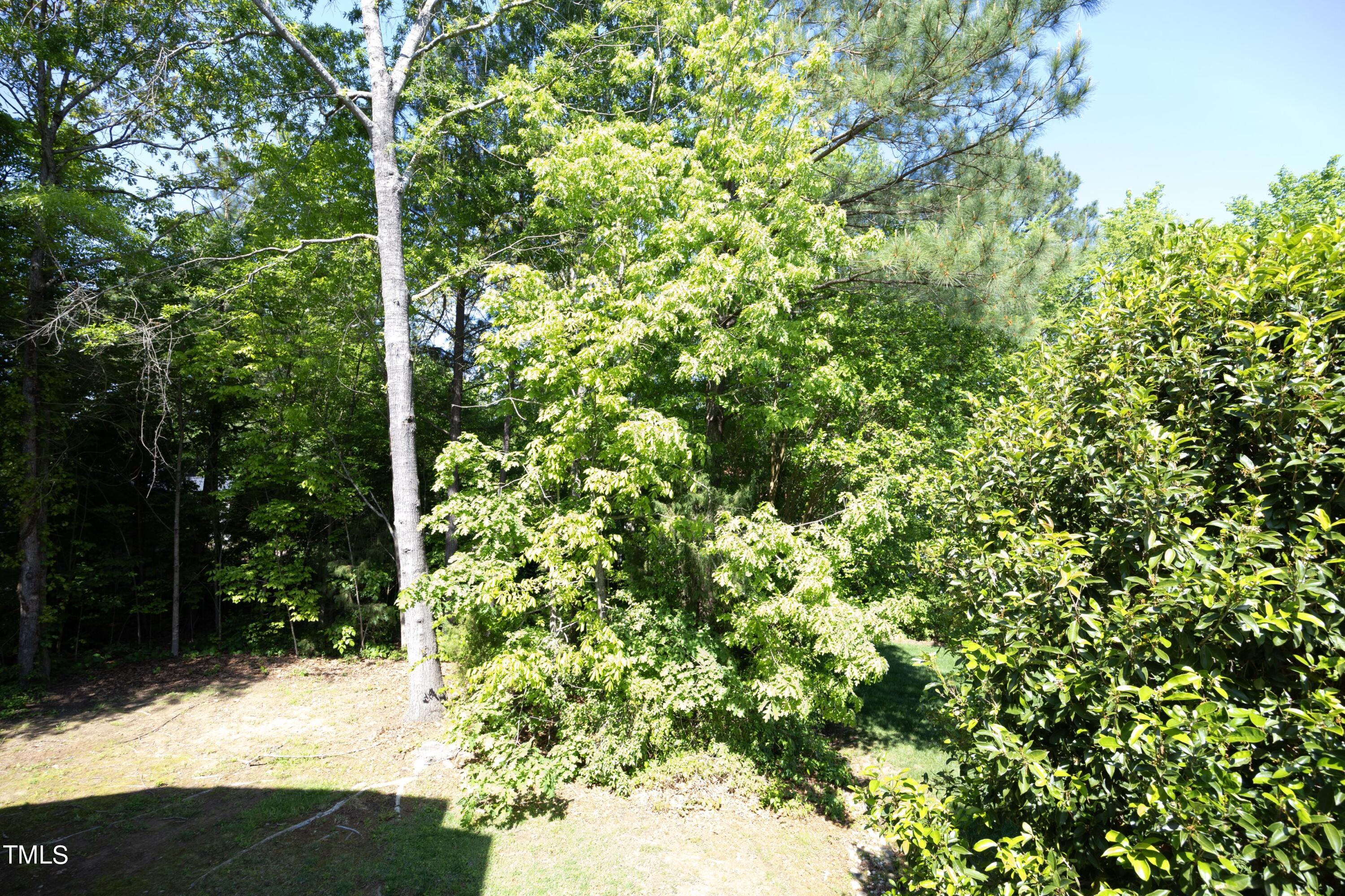 510 Weaver Mine Trail Trail