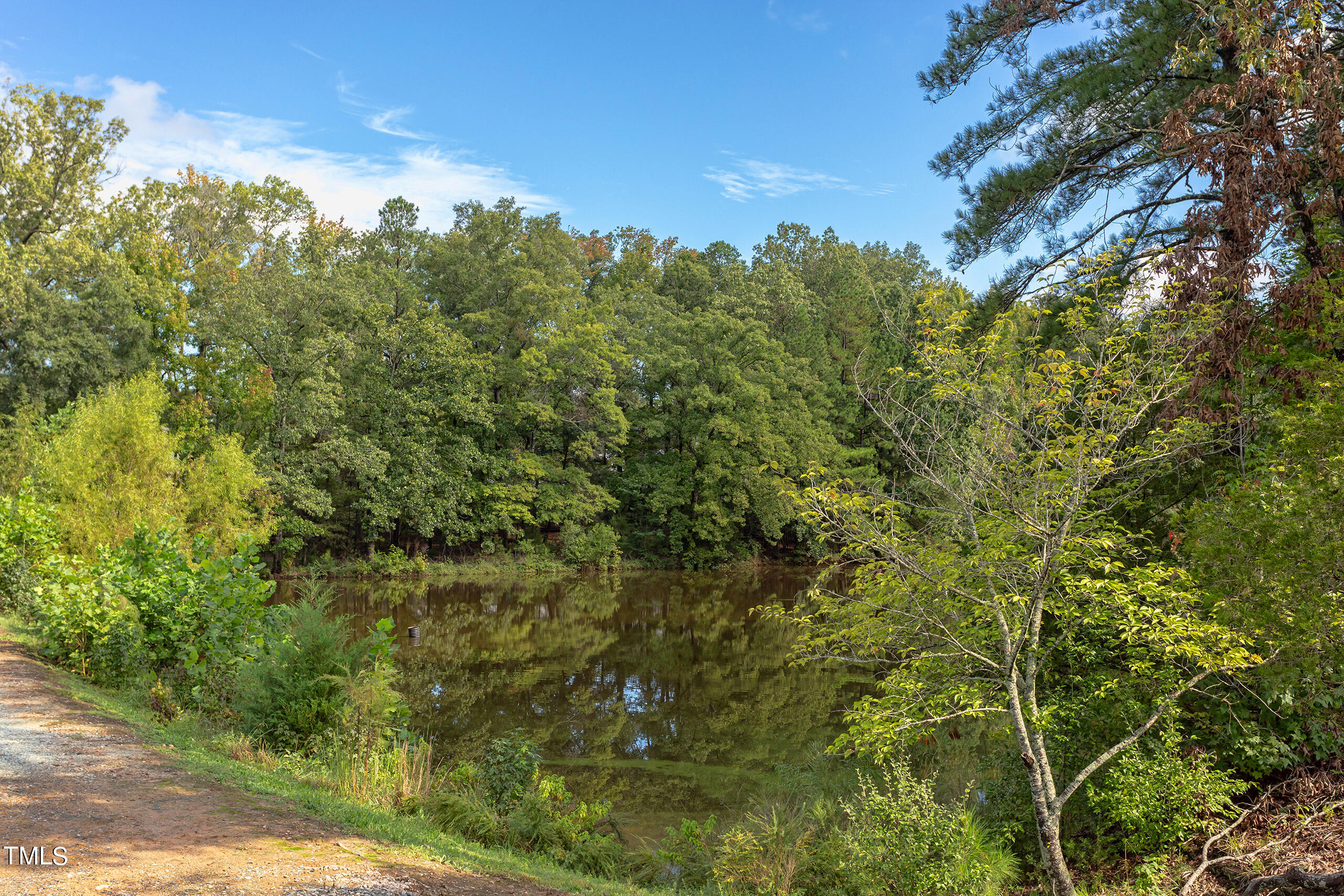 1119 Crested Jay Drive
